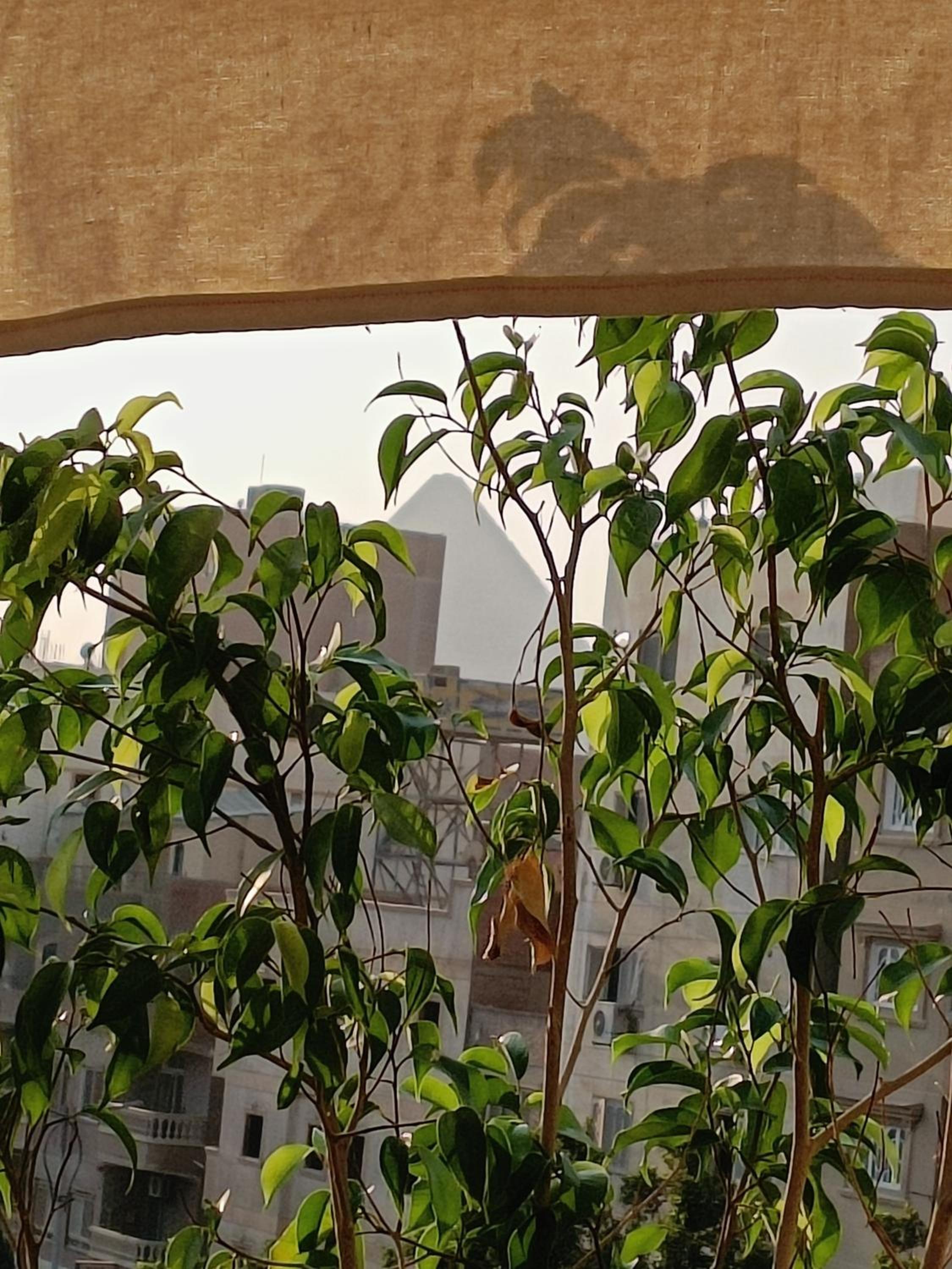 Discover pyramids inn