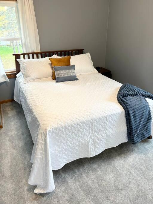 Spacious Home Lake Minnetonka Downtown Excelsior