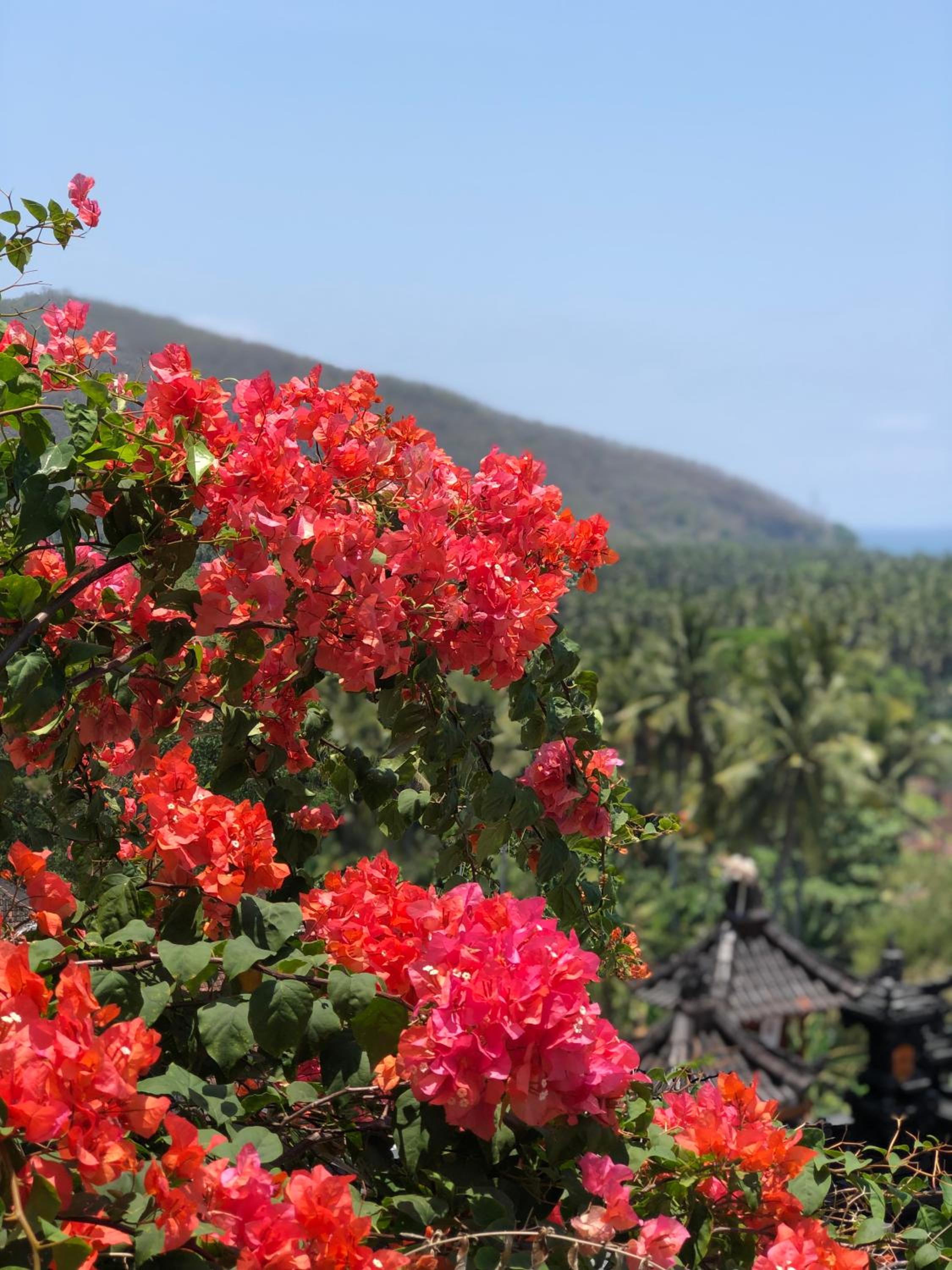 Maya Villa