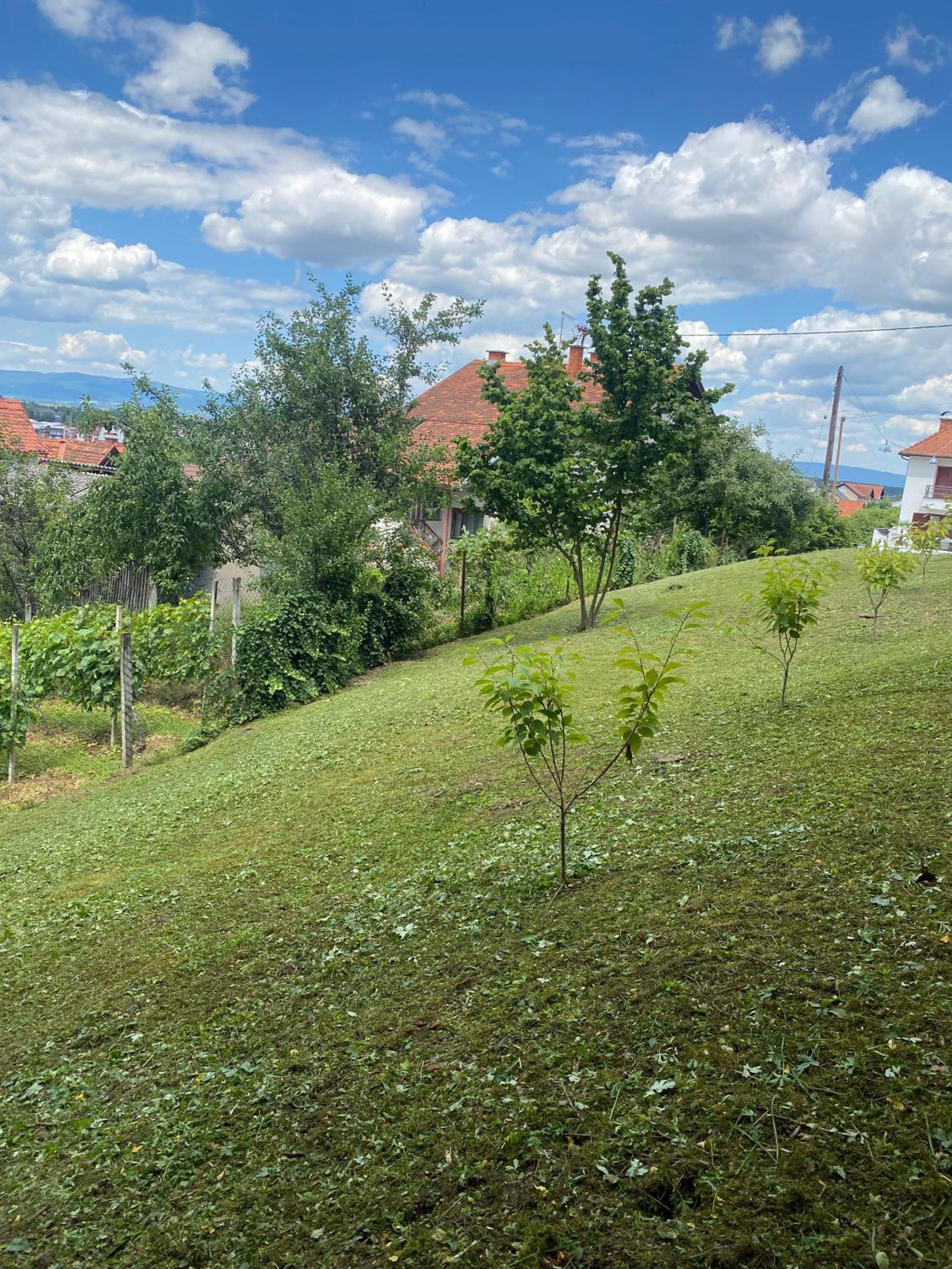 Guest House Grgin Dol, photo 38