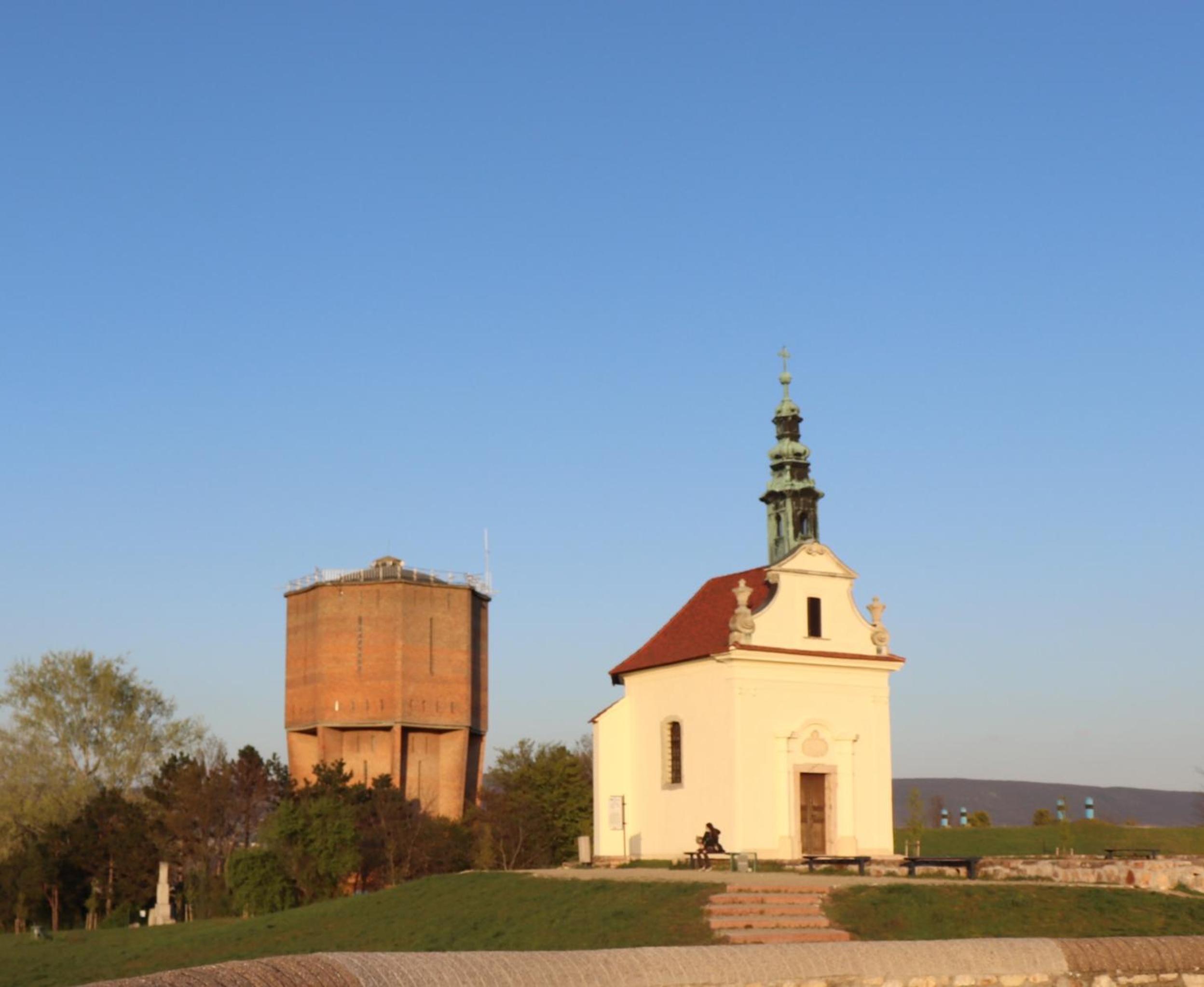 Photo 46