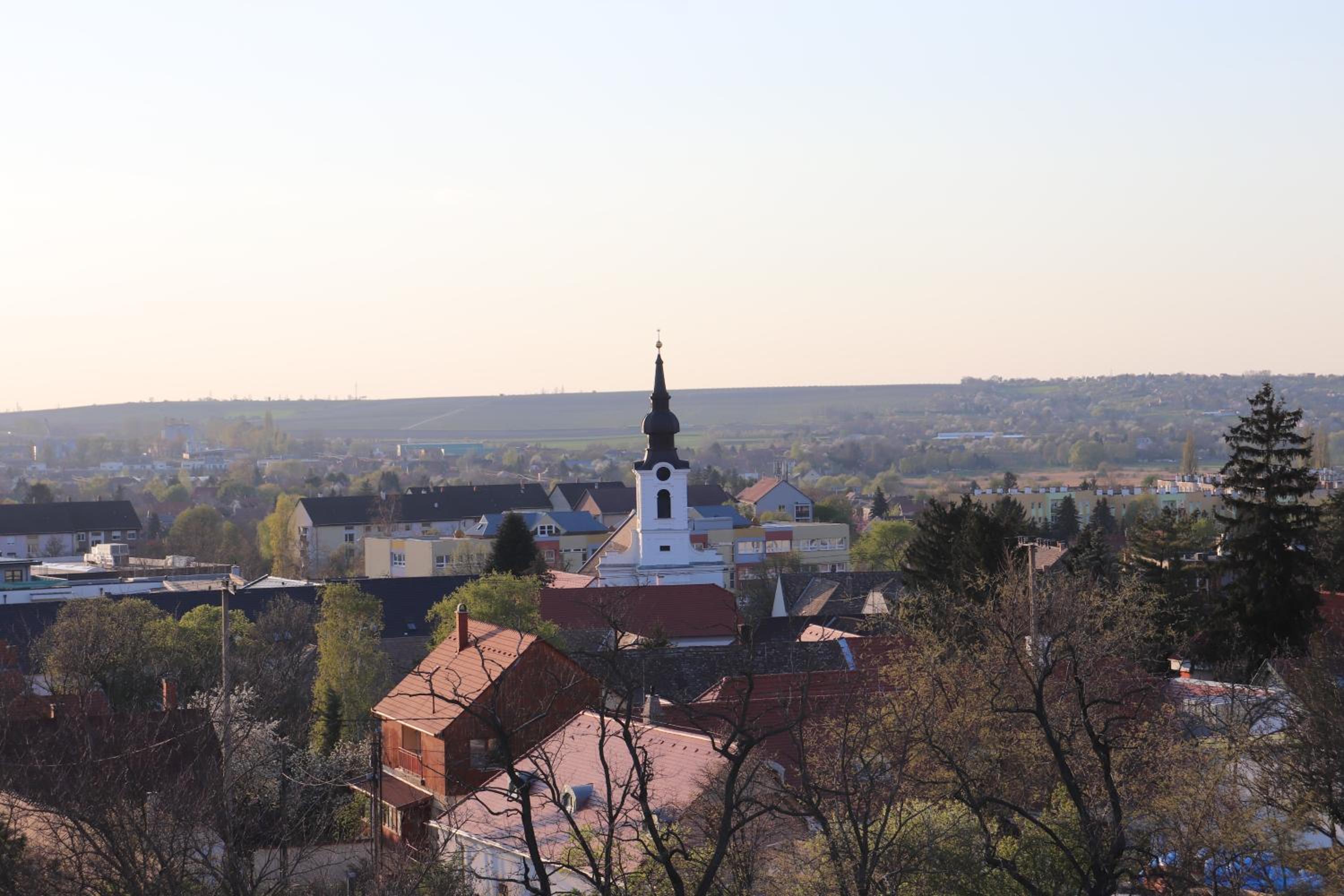 Photo 44