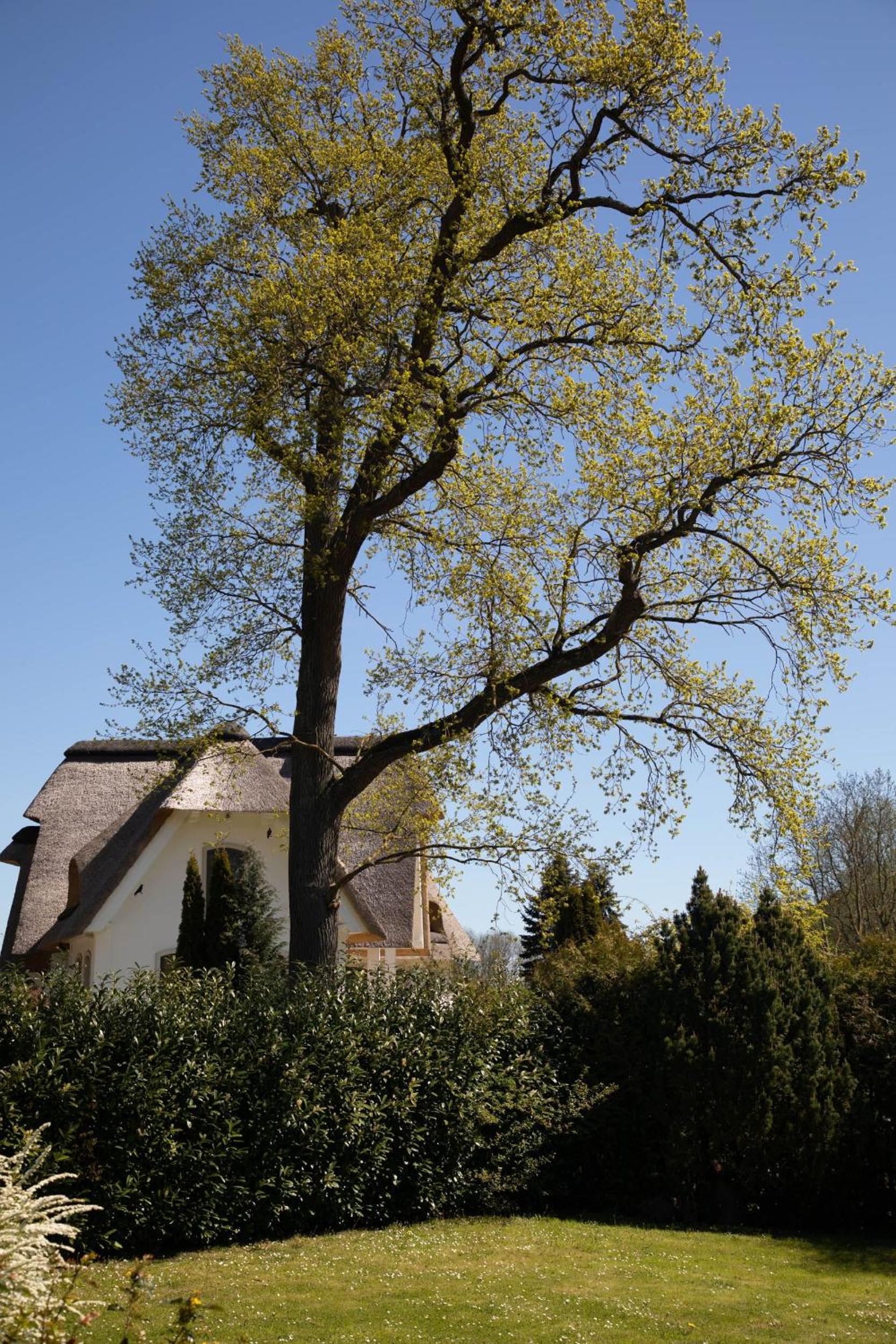 AHOl Ferienhaus