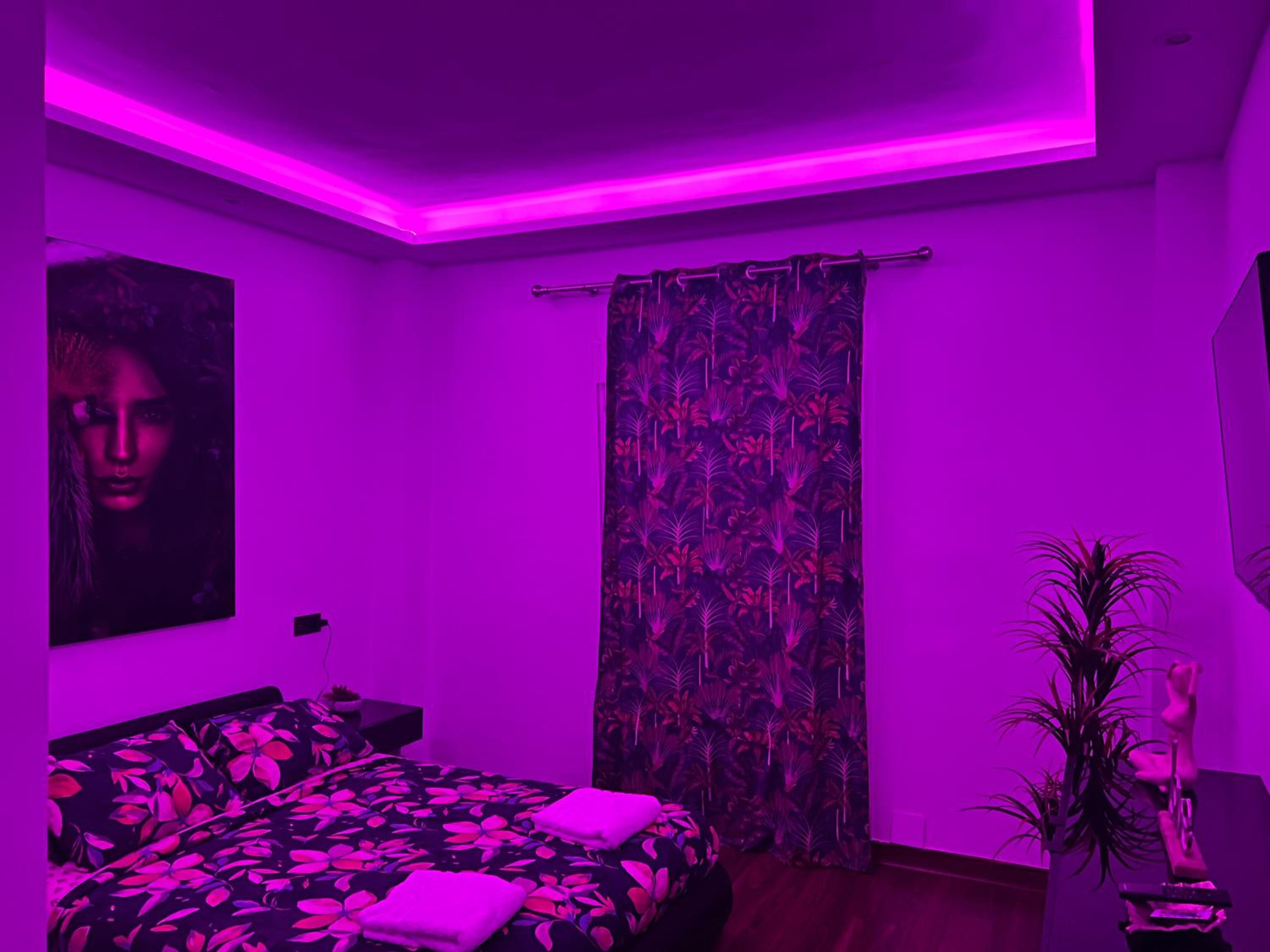 Ribera house Sevilla