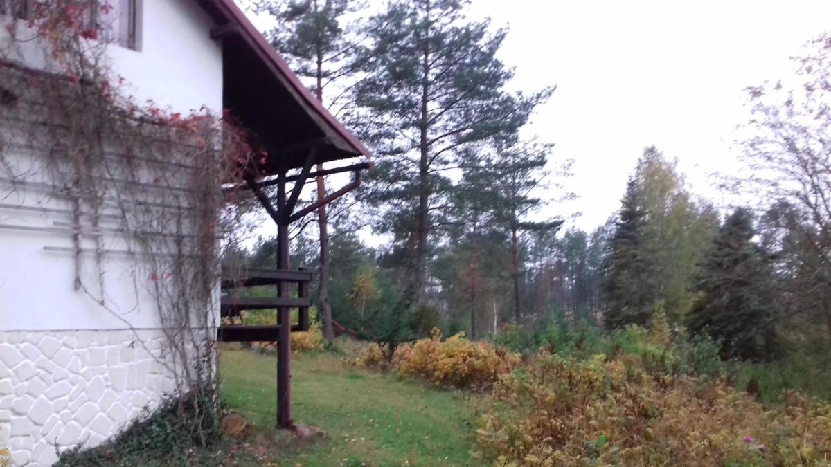 Photo 24