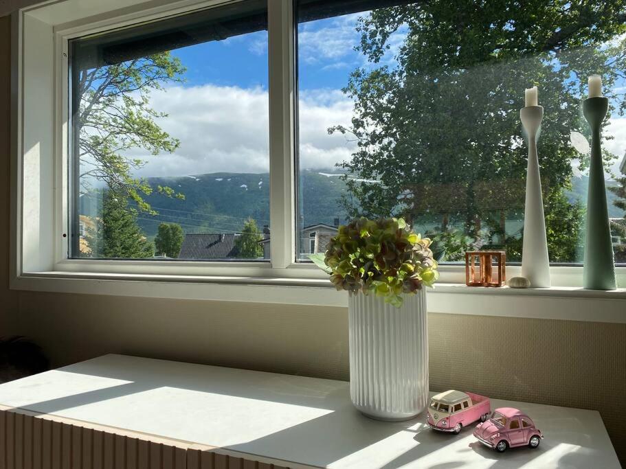 Northern lights Villa with sea- and mountain view