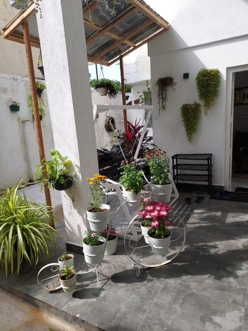 Malika Shelter Villa