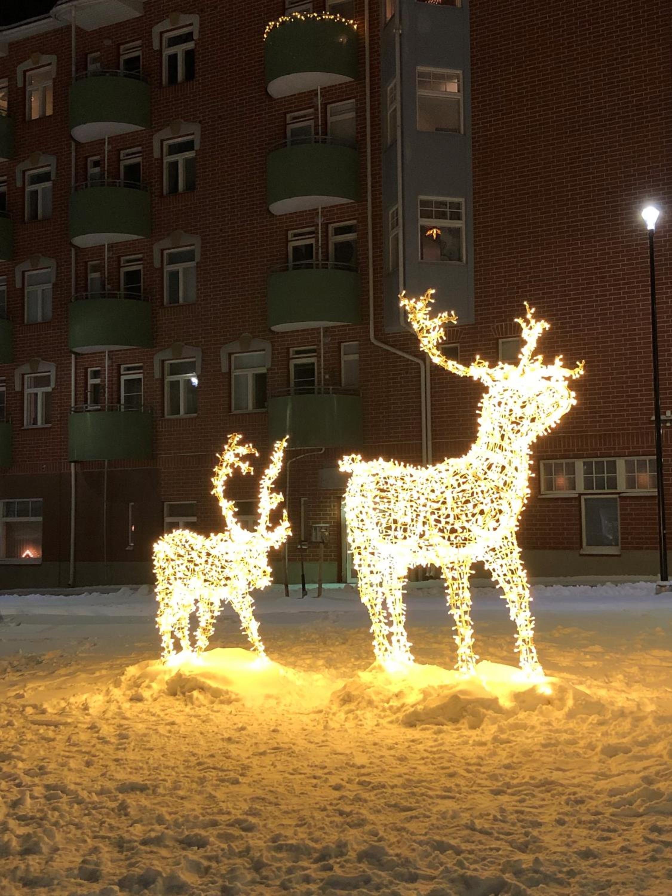 Wonderful arctic city apartment