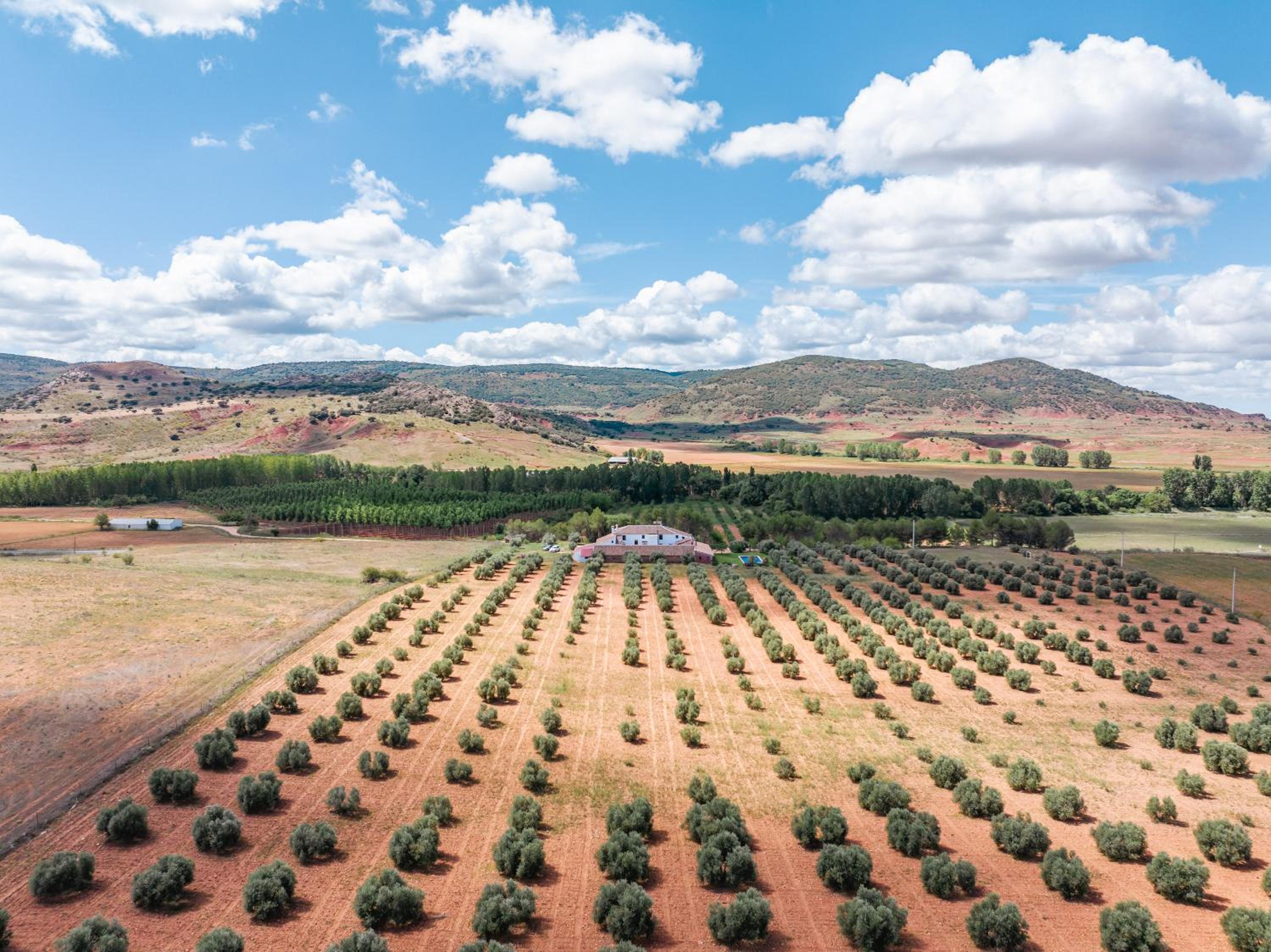 Finca  SPA Vereda Real - Property Image 33