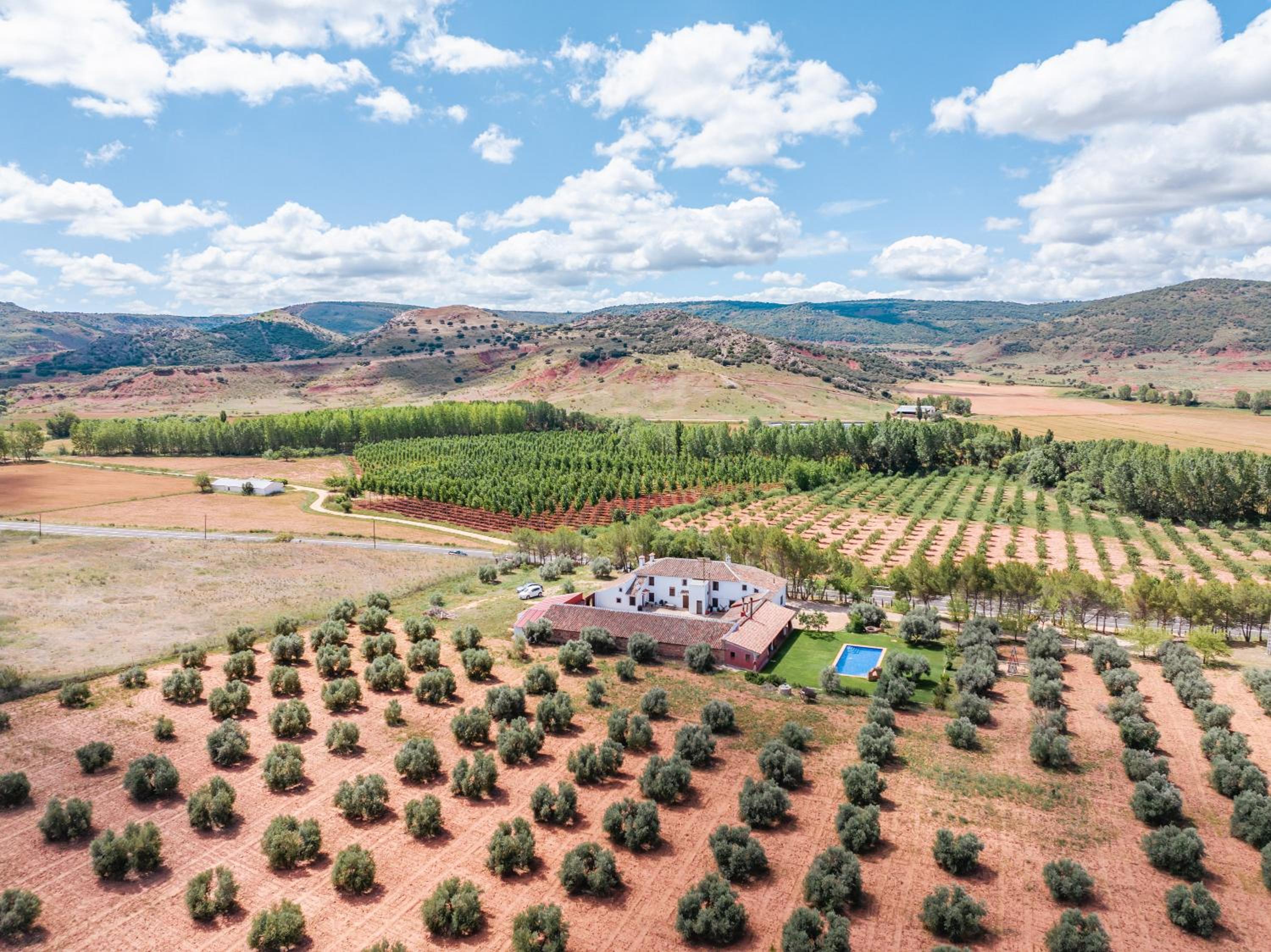 Finca  SPA Vereda Real - Property Image 66