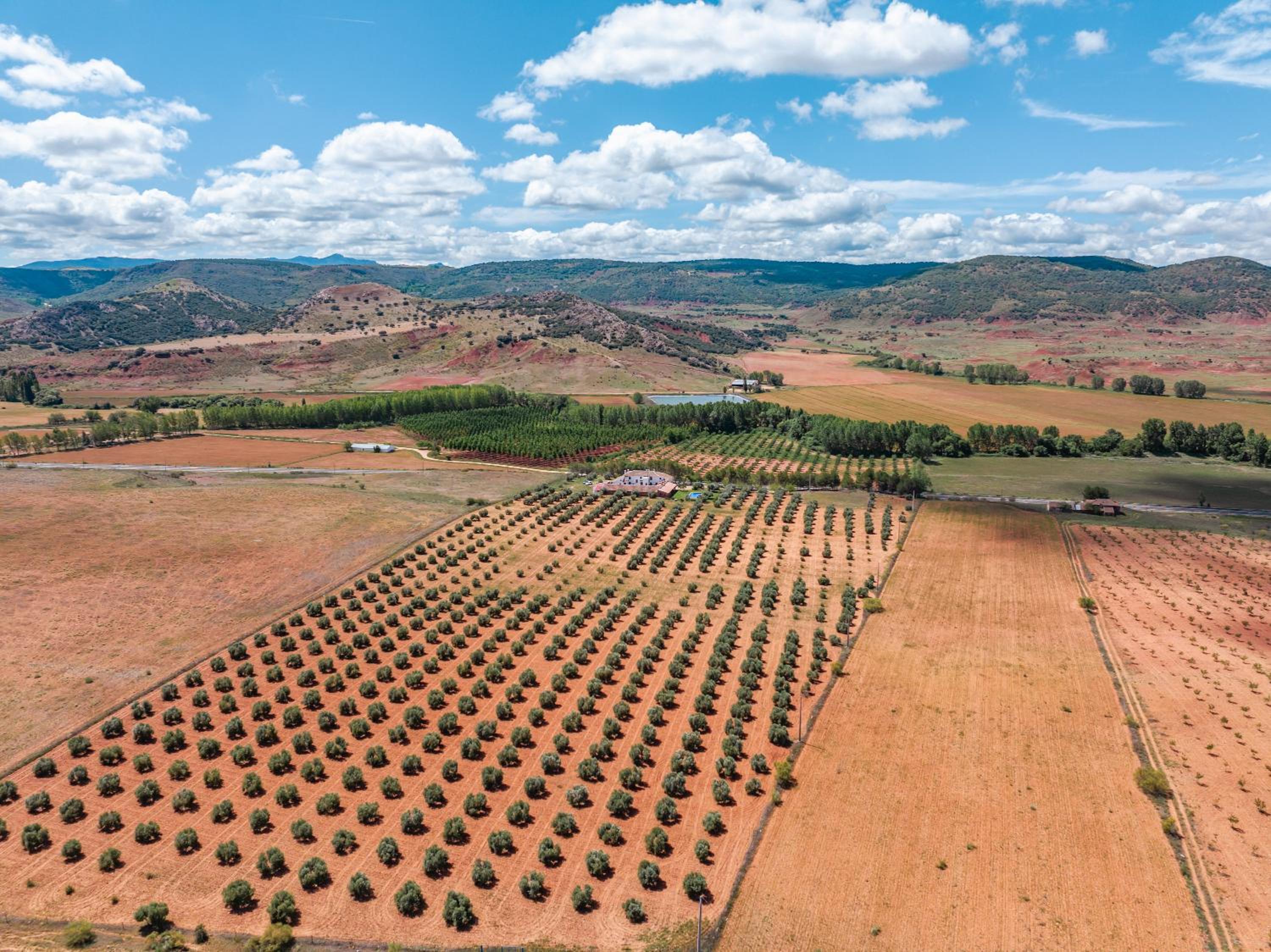 Finca  SPA Vereda Real - Property Image 38