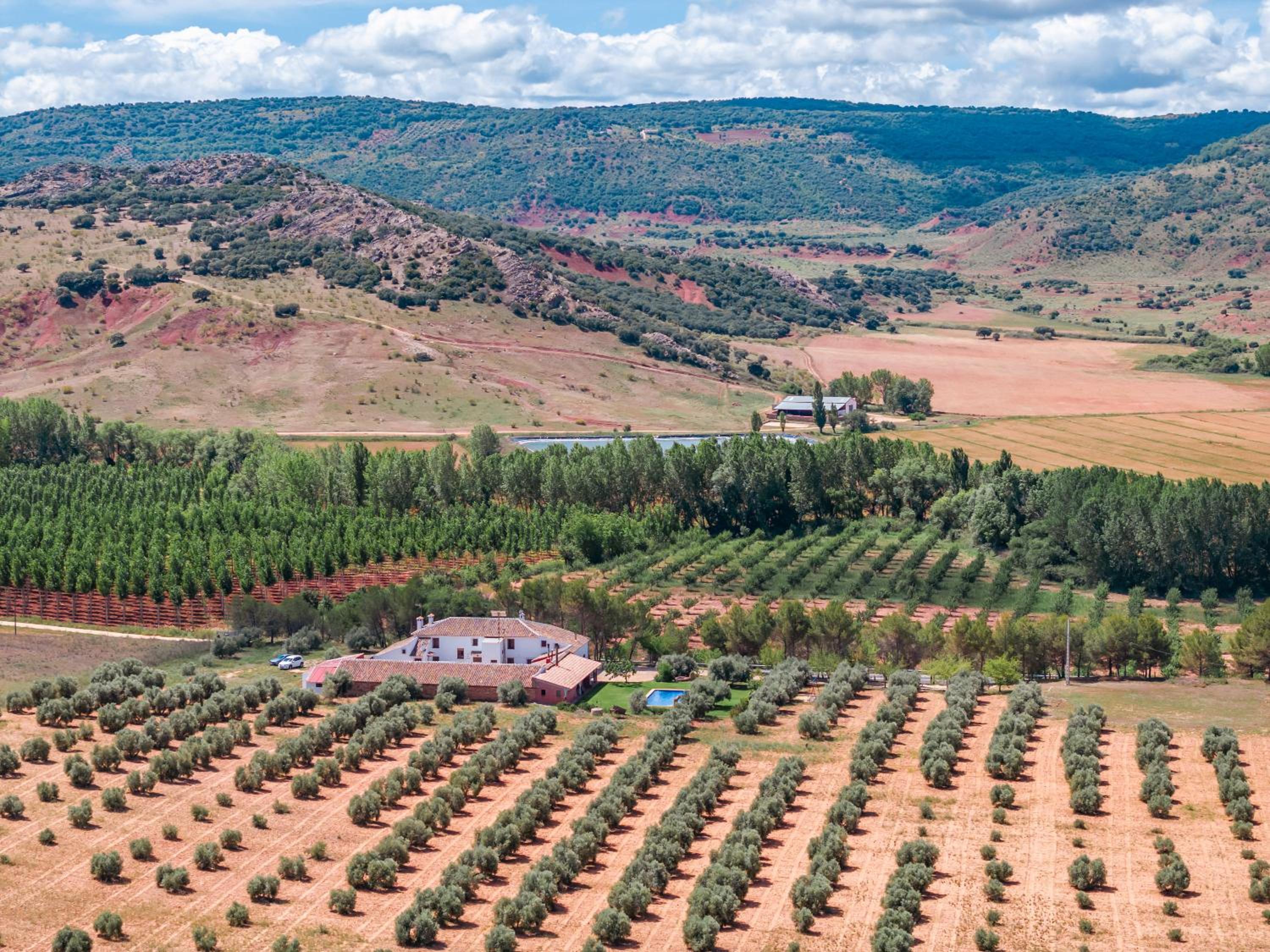 Finca  SPA Vereda Real - Property Image 39