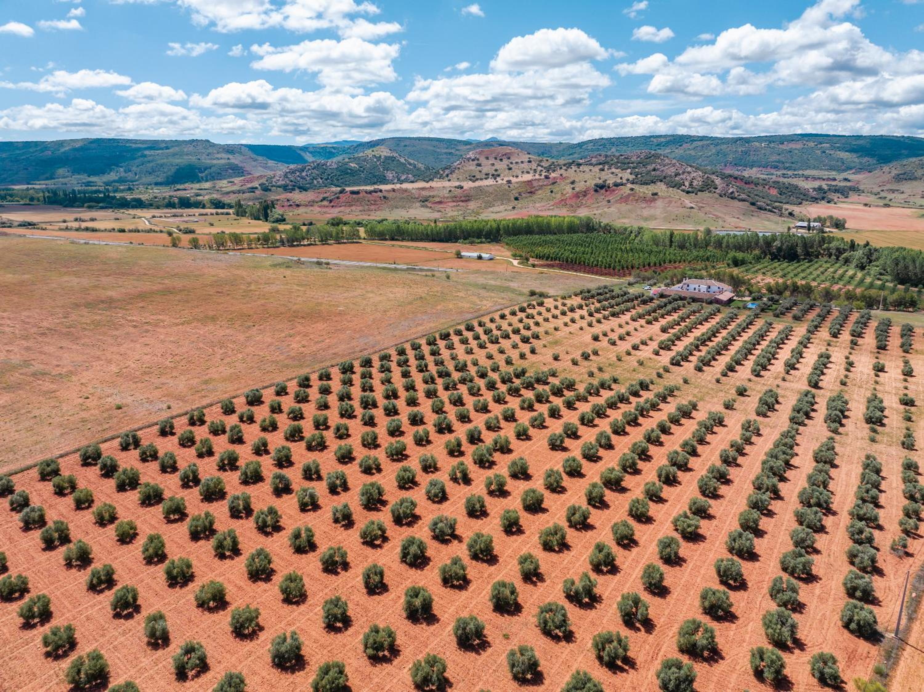 Finca  SPA Vereda Real - Property Image 51