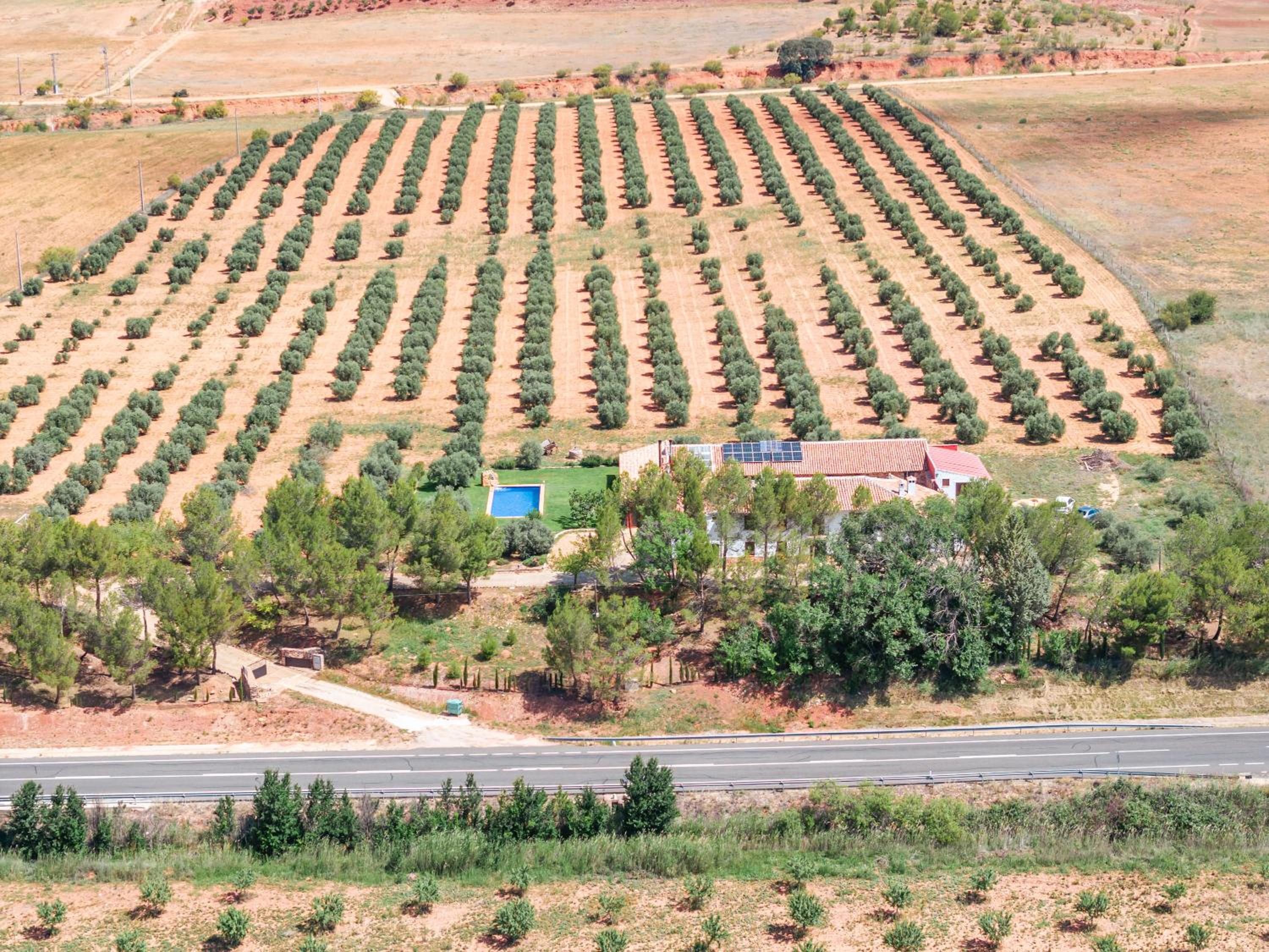 Finca  SPA Vereda Real - Property Image 53