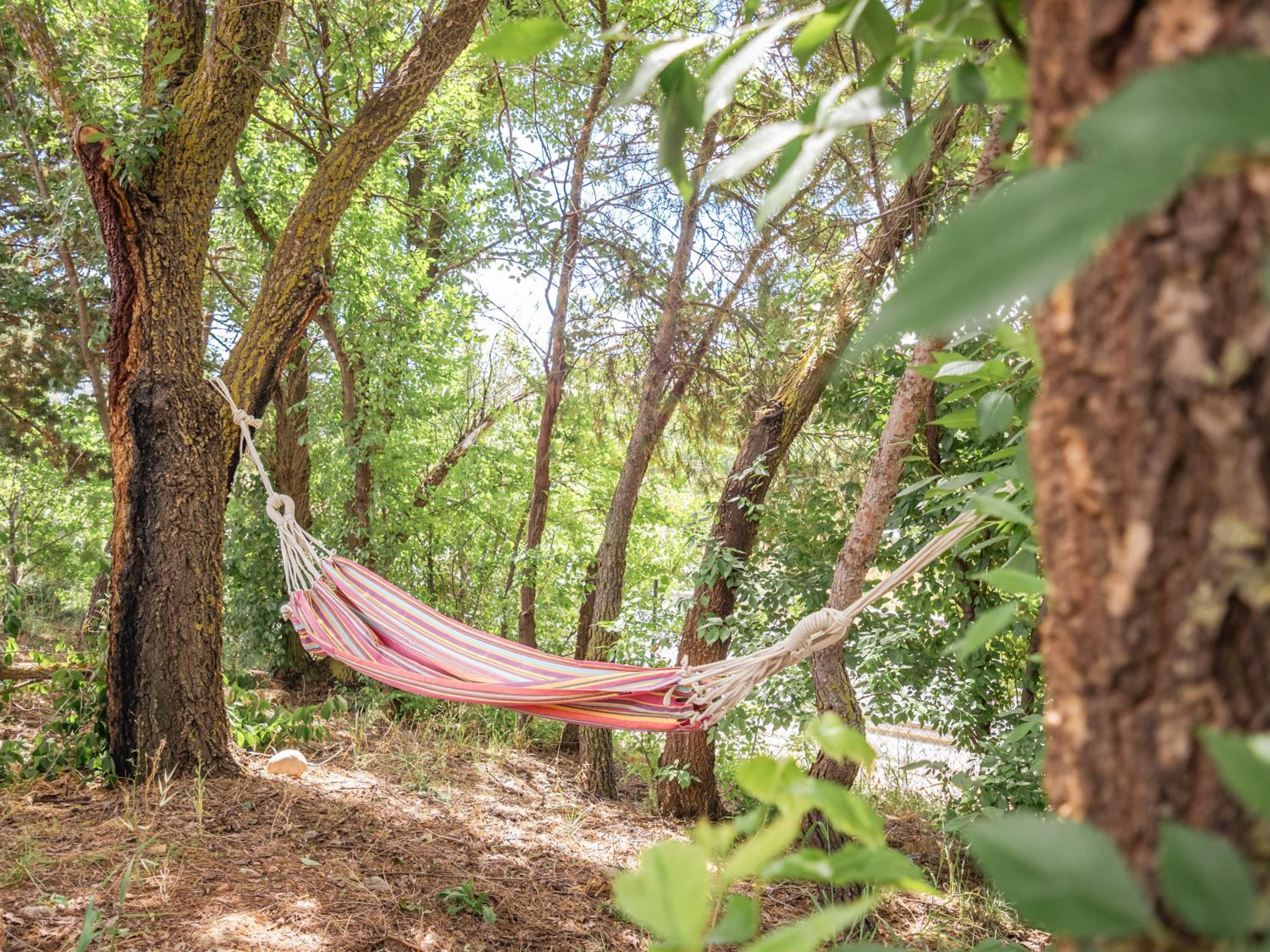 Finca  SPA Vereda Real - Property Image 55