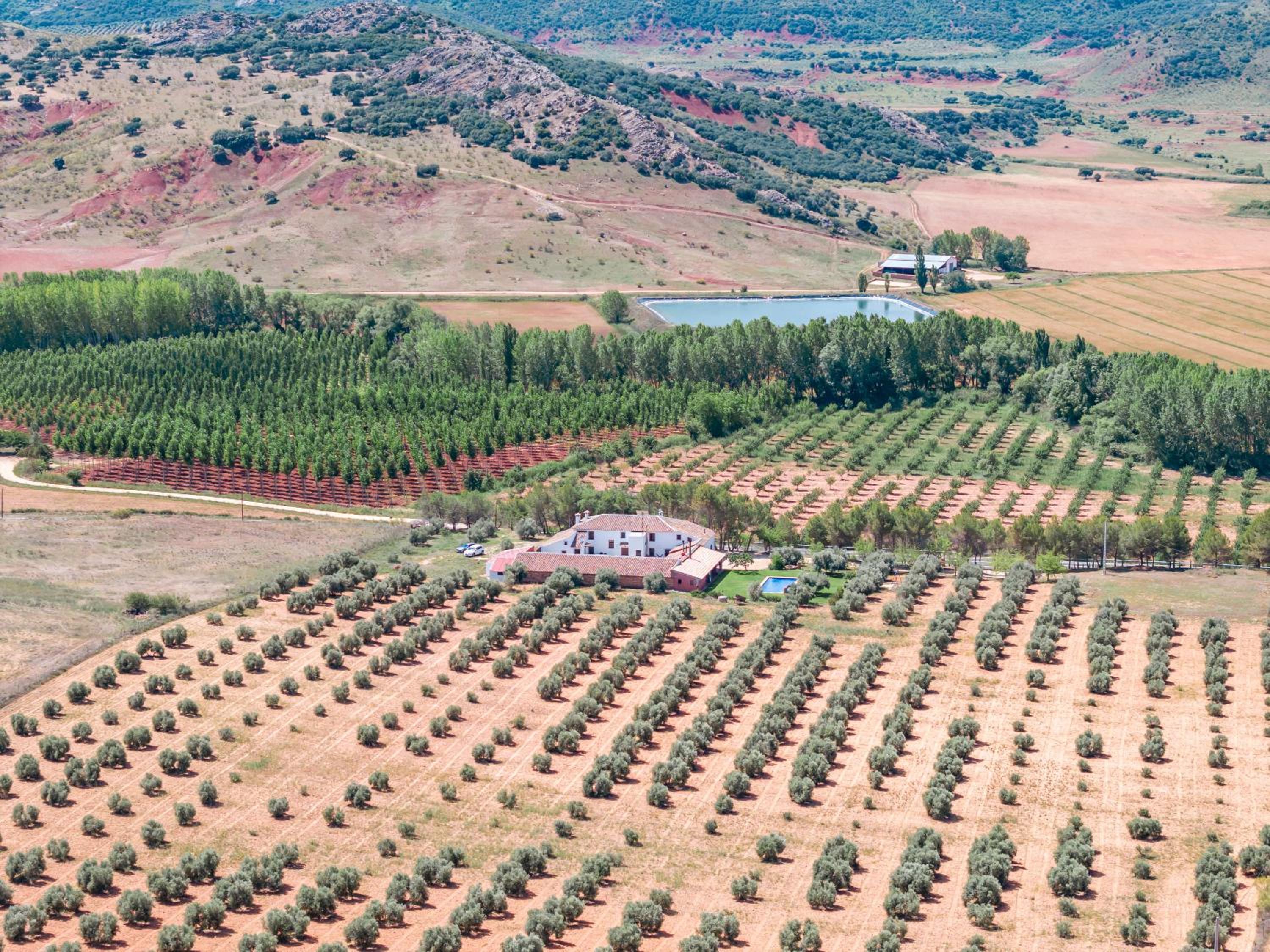 Finca  SPA Vereda Real - Property Image 65