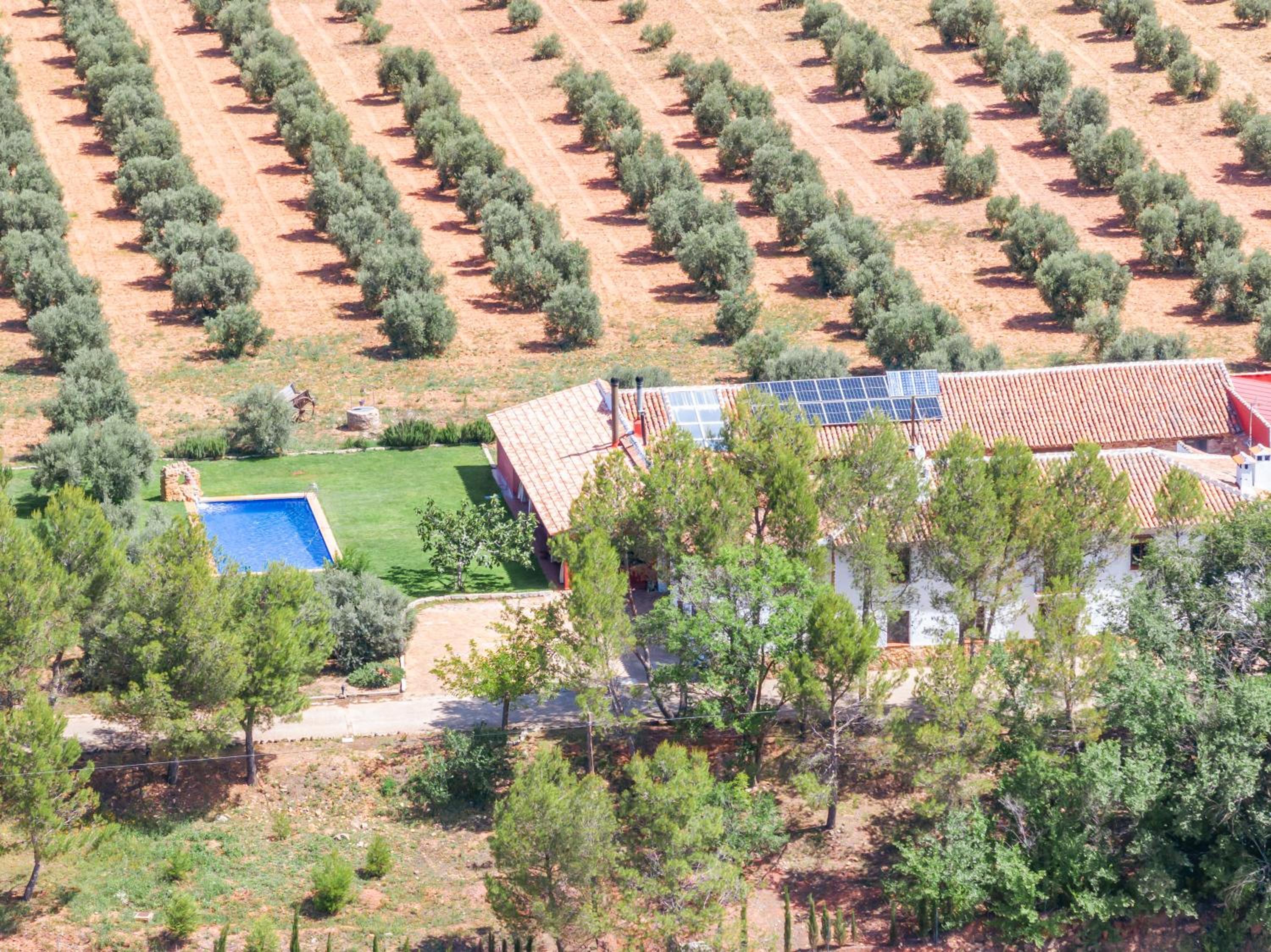 Finca  SPA Vereda Real - Property Image 59