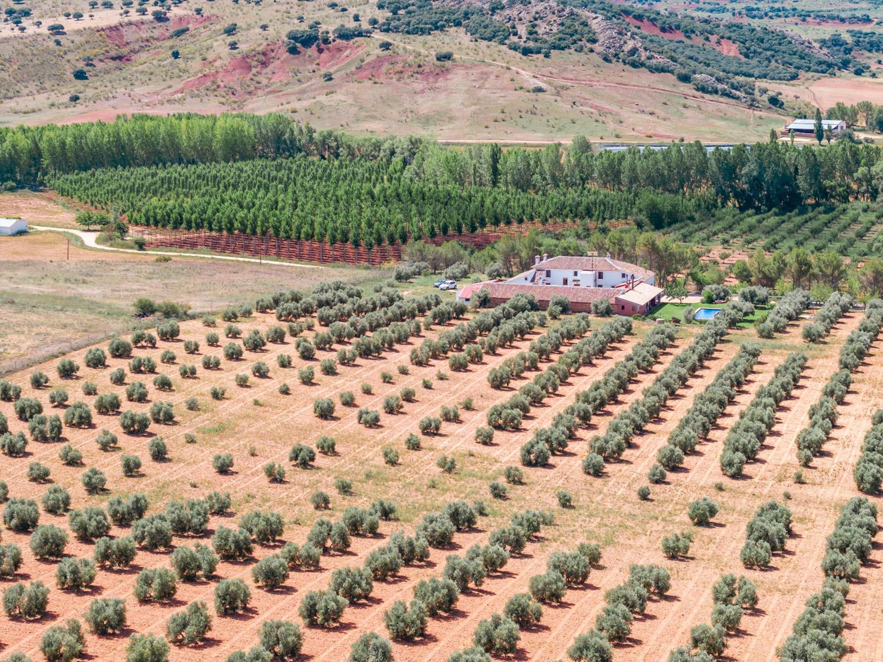 Finca  SPA Vereda Real - Property Image 77