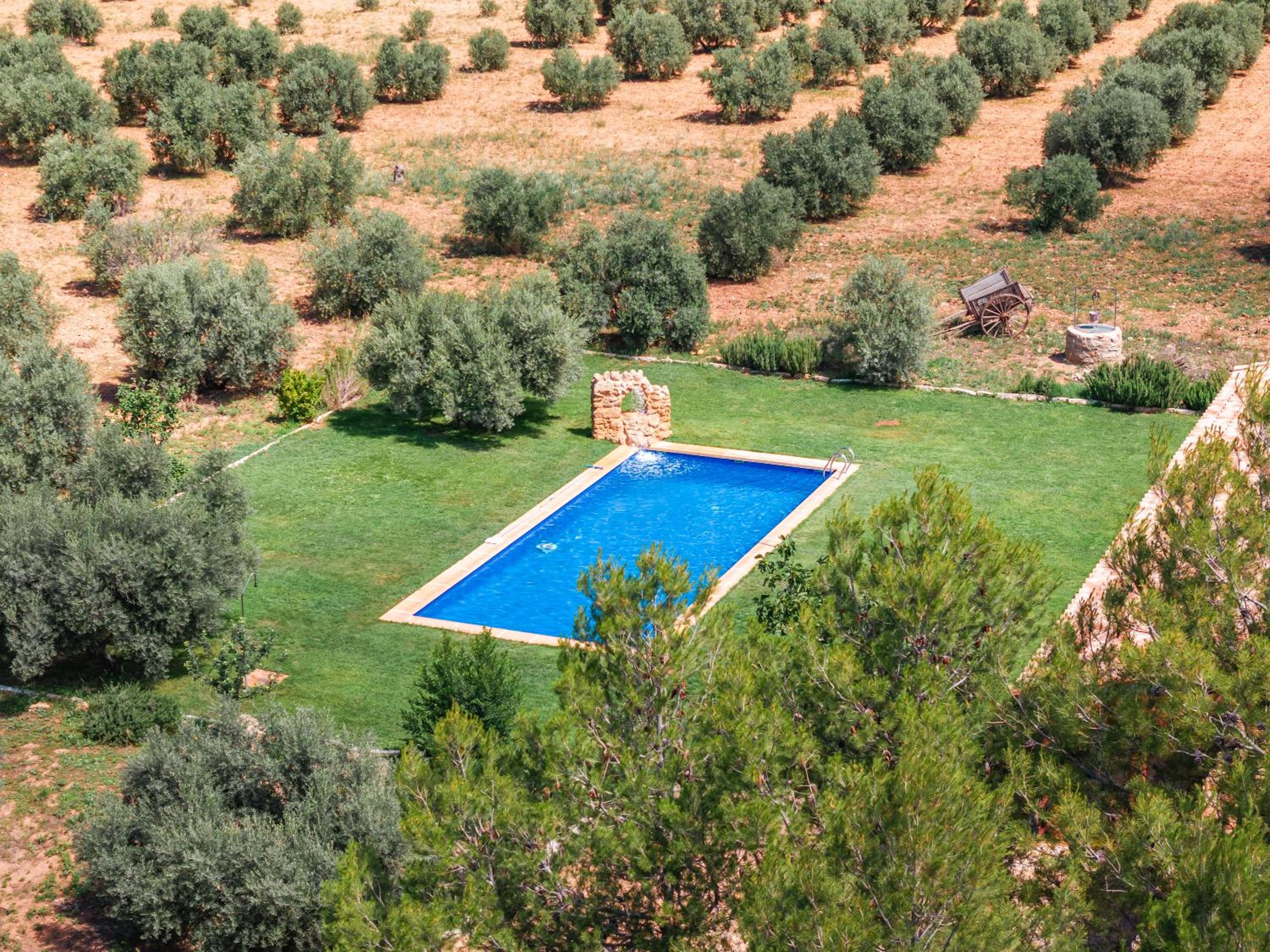 Finca  SPA Vereda Real - Property Image 68