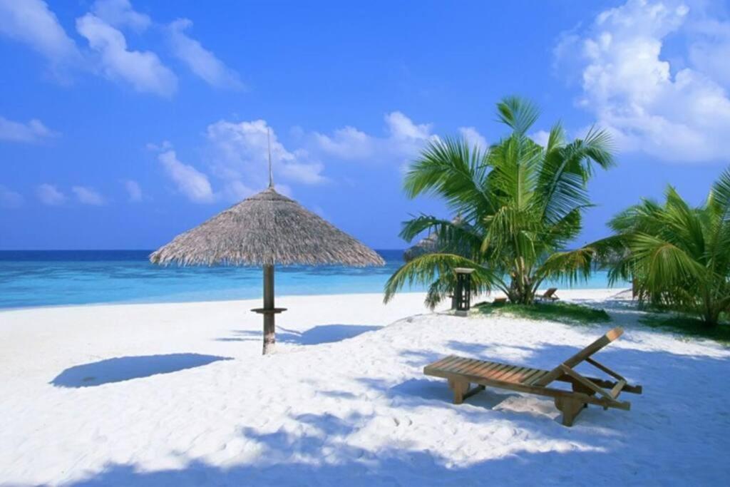 Luxury 2BR with Ocean view view 5