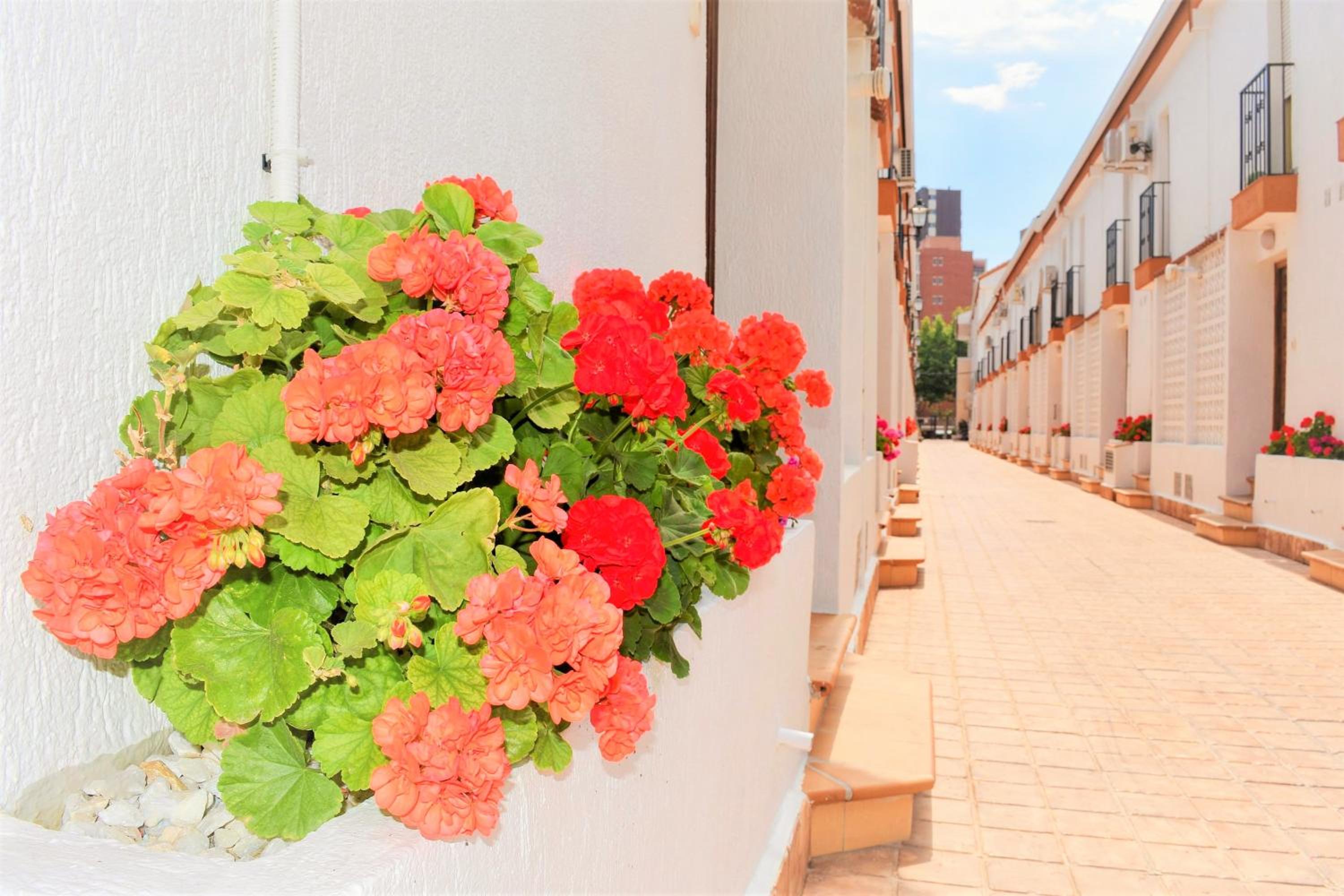Ola Azul Rinconada Real Apartment