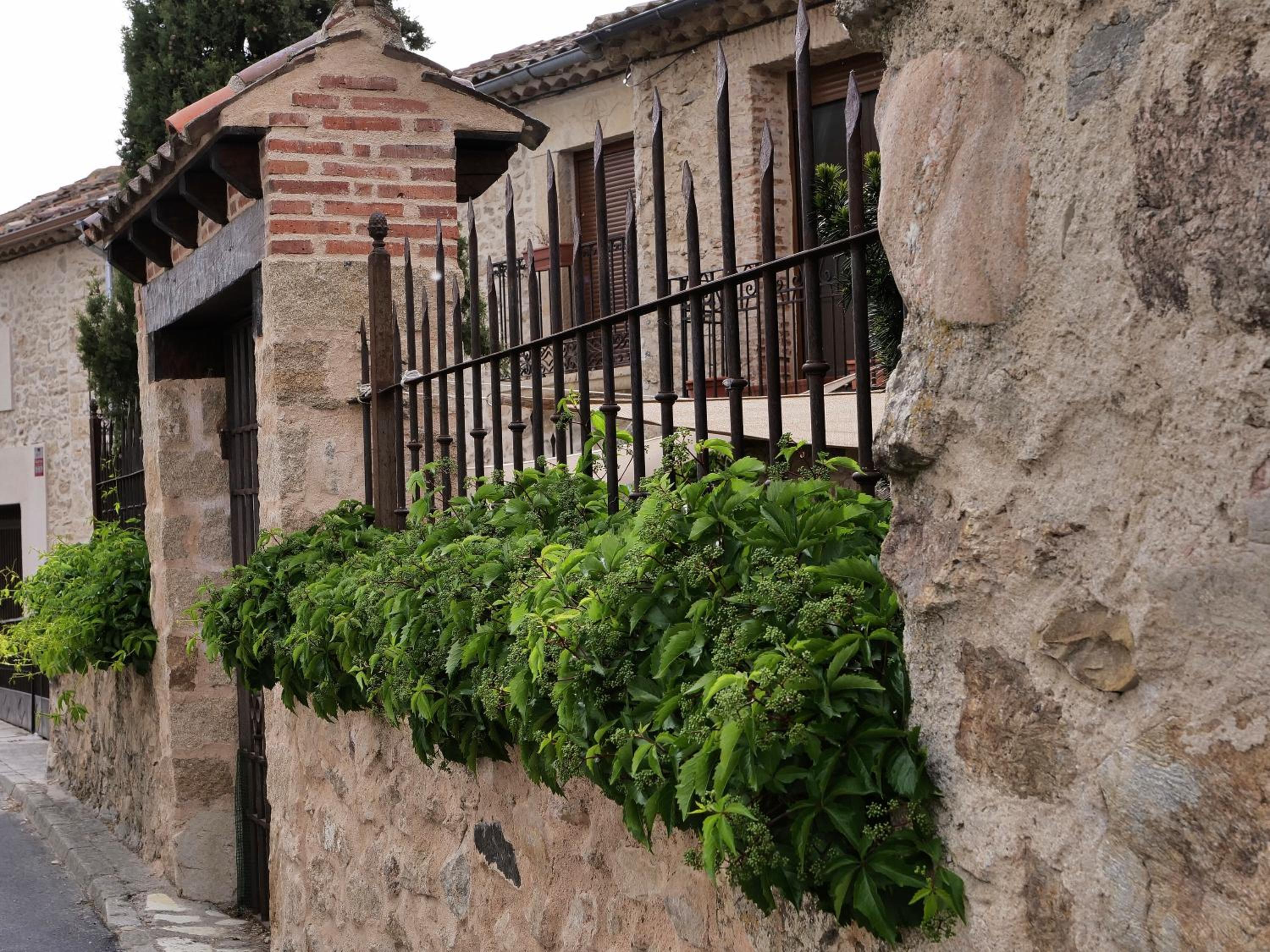 Posada Real Mingaseda