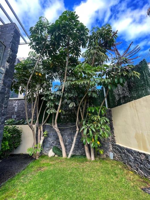 Luxury Oceanview Villa de Nava with heated private pool