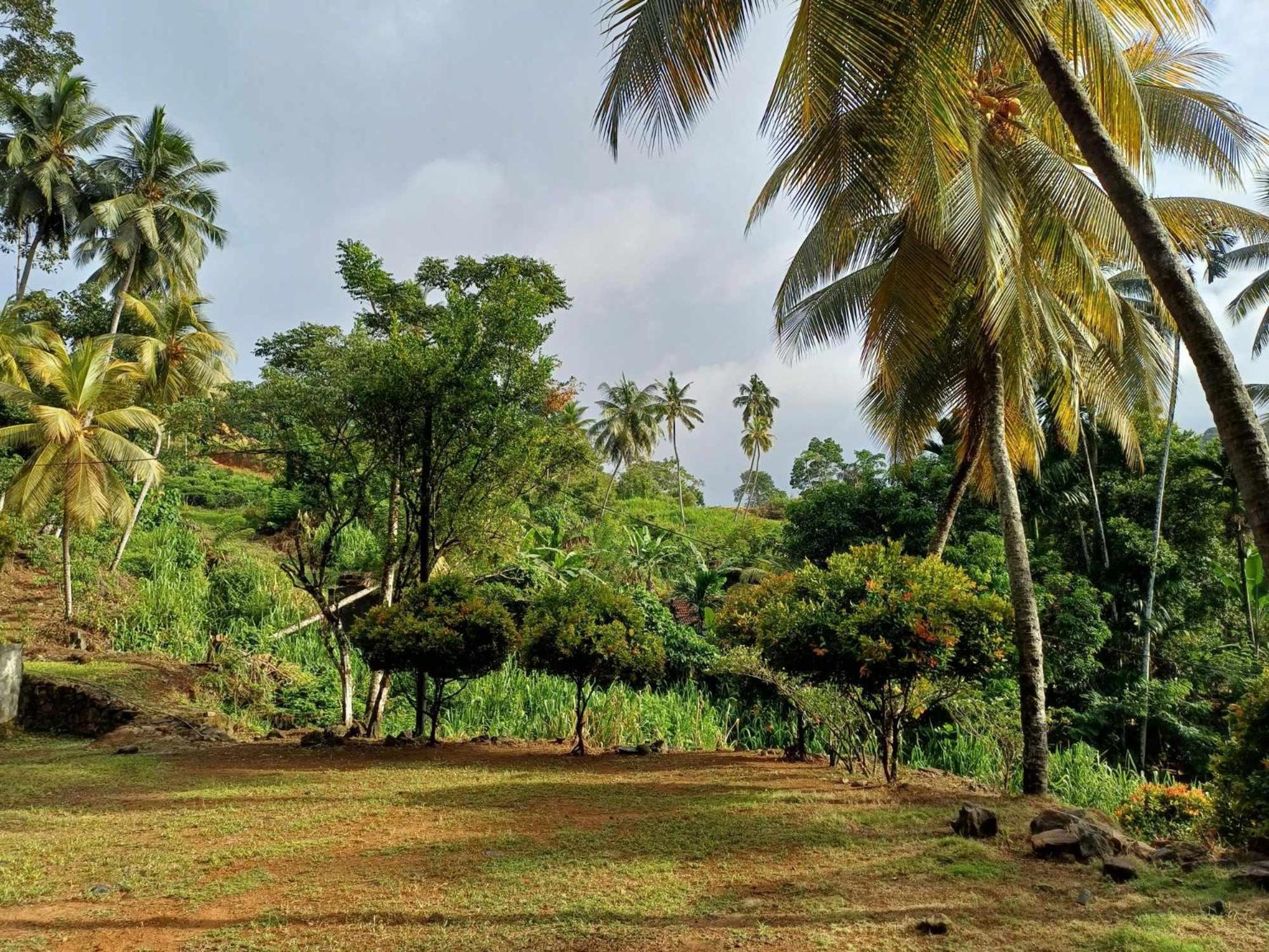 Sinharaja Villa