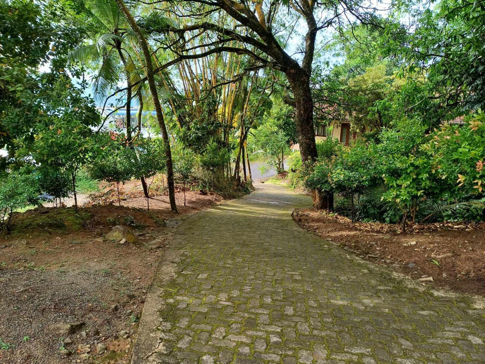 Sinharaja Villa
