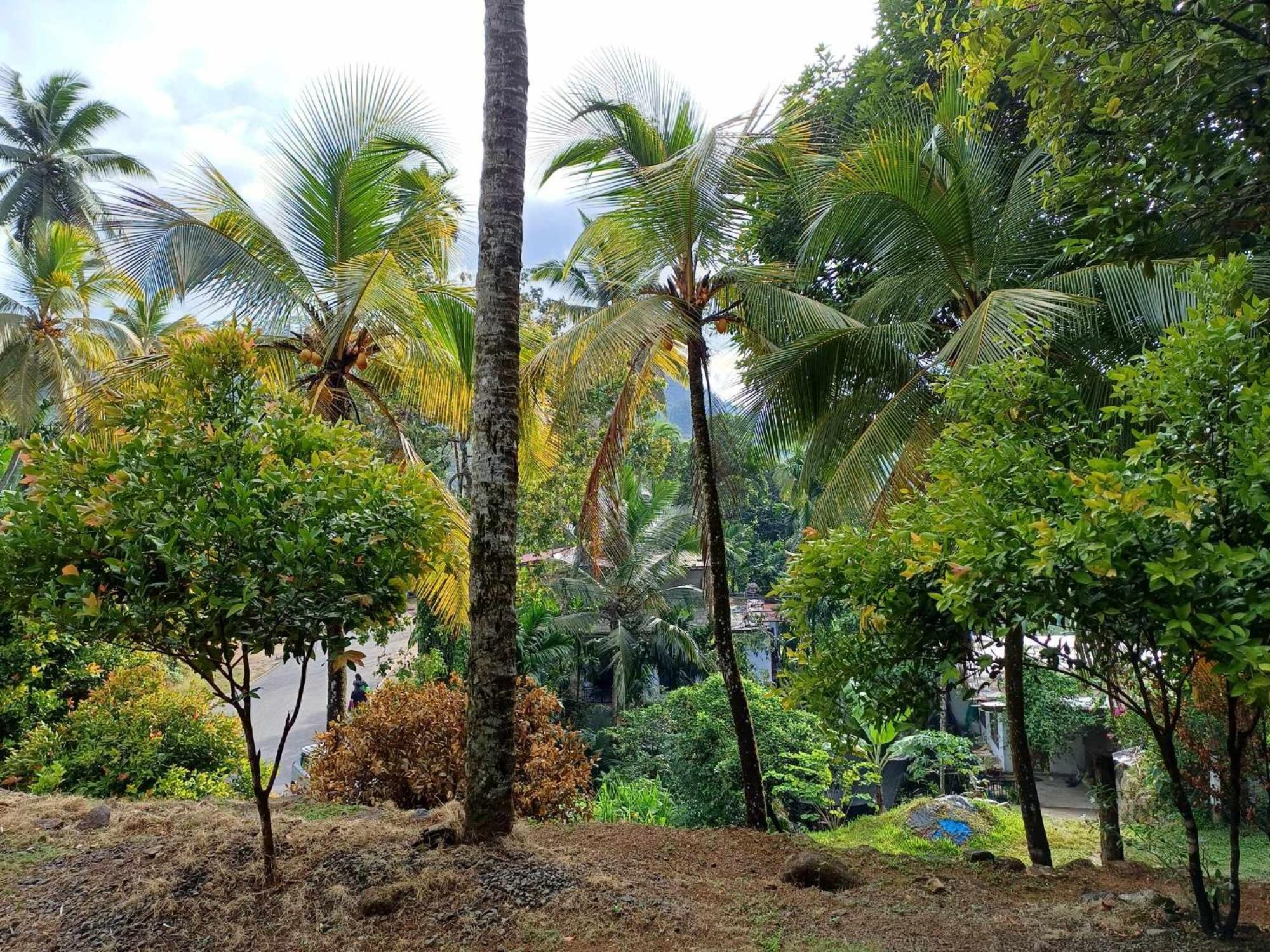 Sinharaja Villa