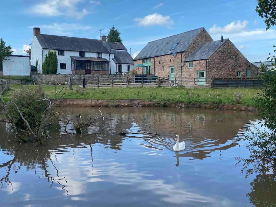 Mallards Barn on a rural farm view 2