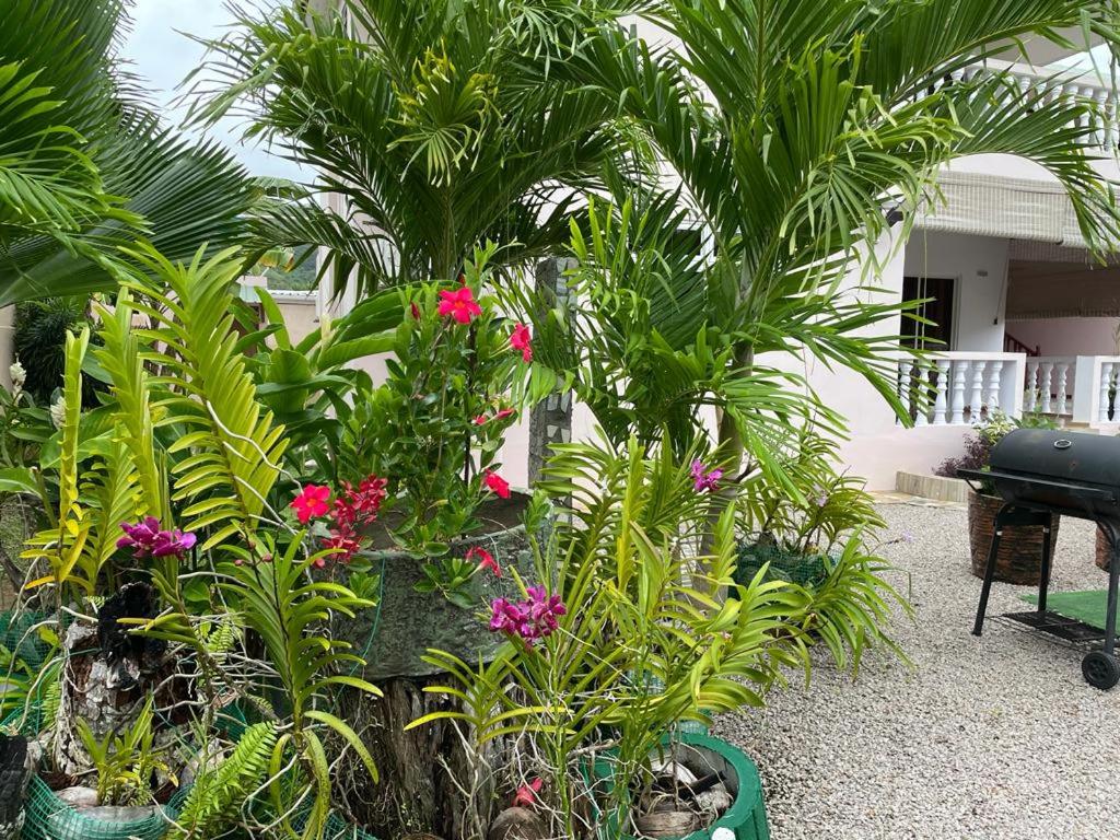 Mokara Holiday Apartment photo 2