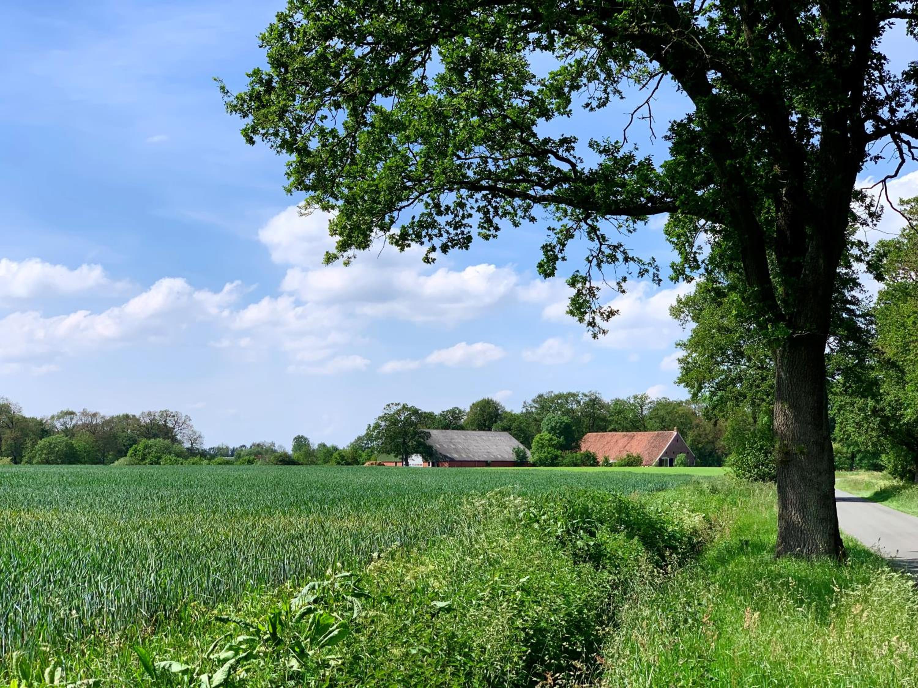 De Hiddinghhoeve view 4
