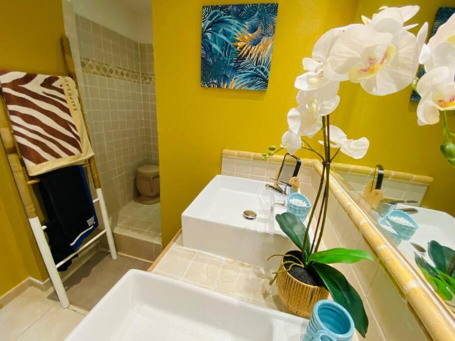 BOSECRET Superbe et vaste appartement sur la plage à Orient Bay Piscine view 4