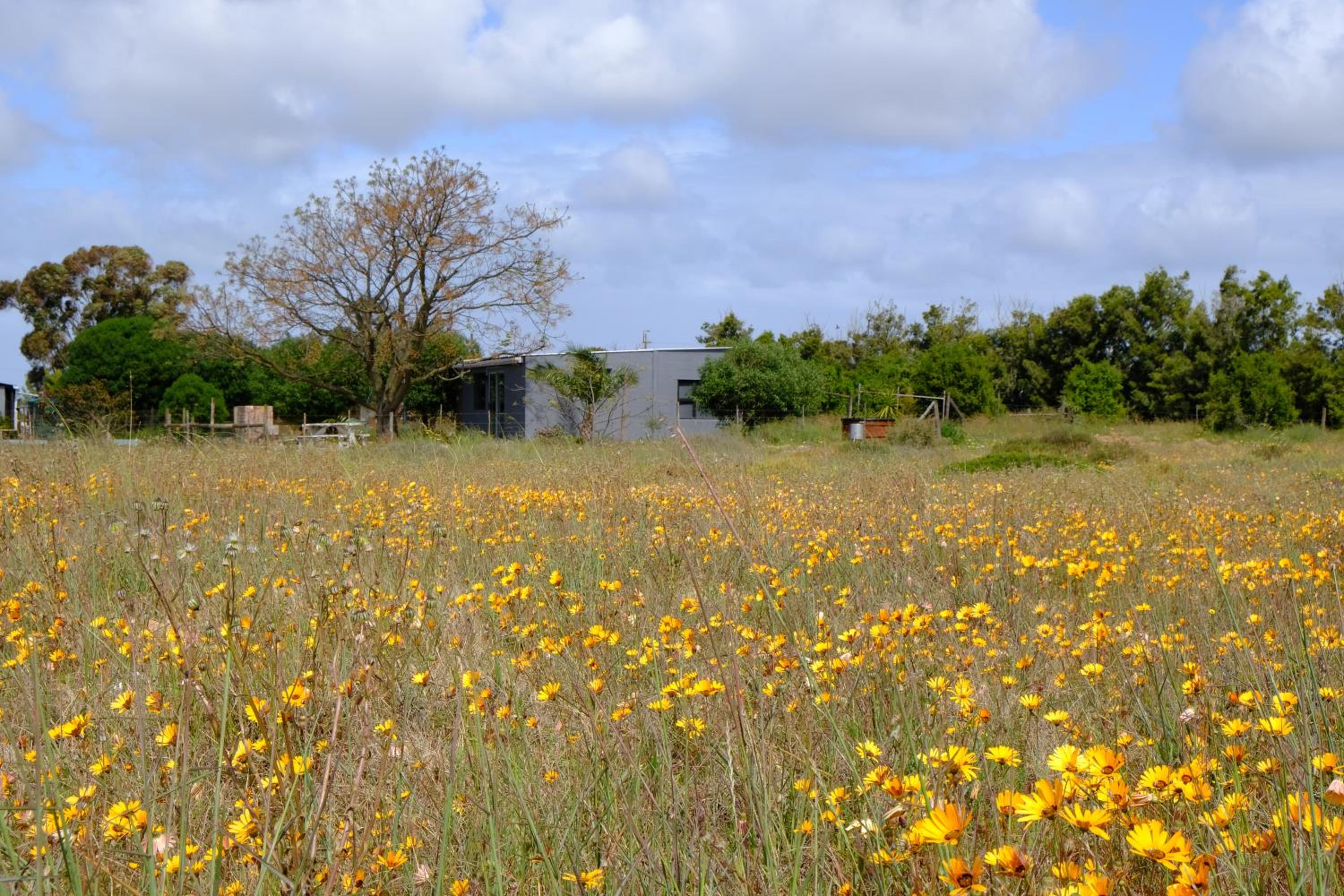 Blue Sky Retreat view 4