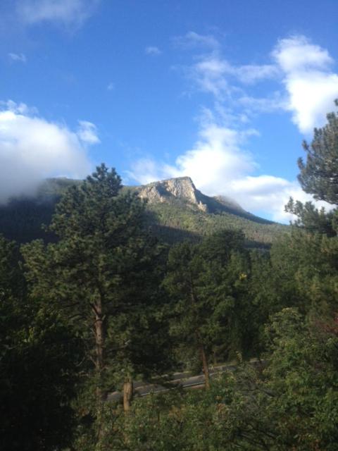 Photo 44