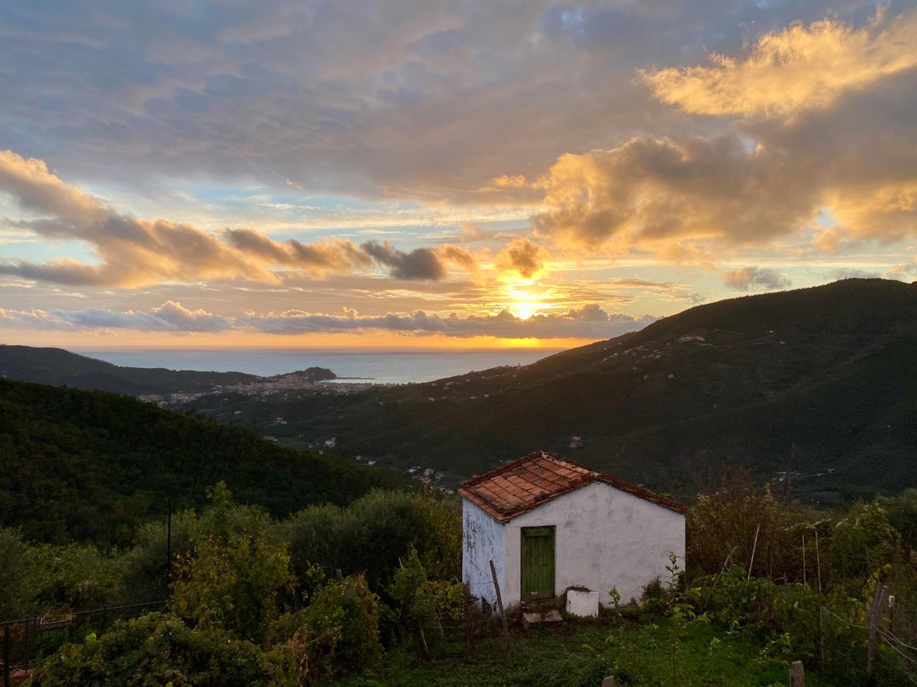 La Collina sul Mare - Sea View Terrace - Top Rated 9,7 view 4