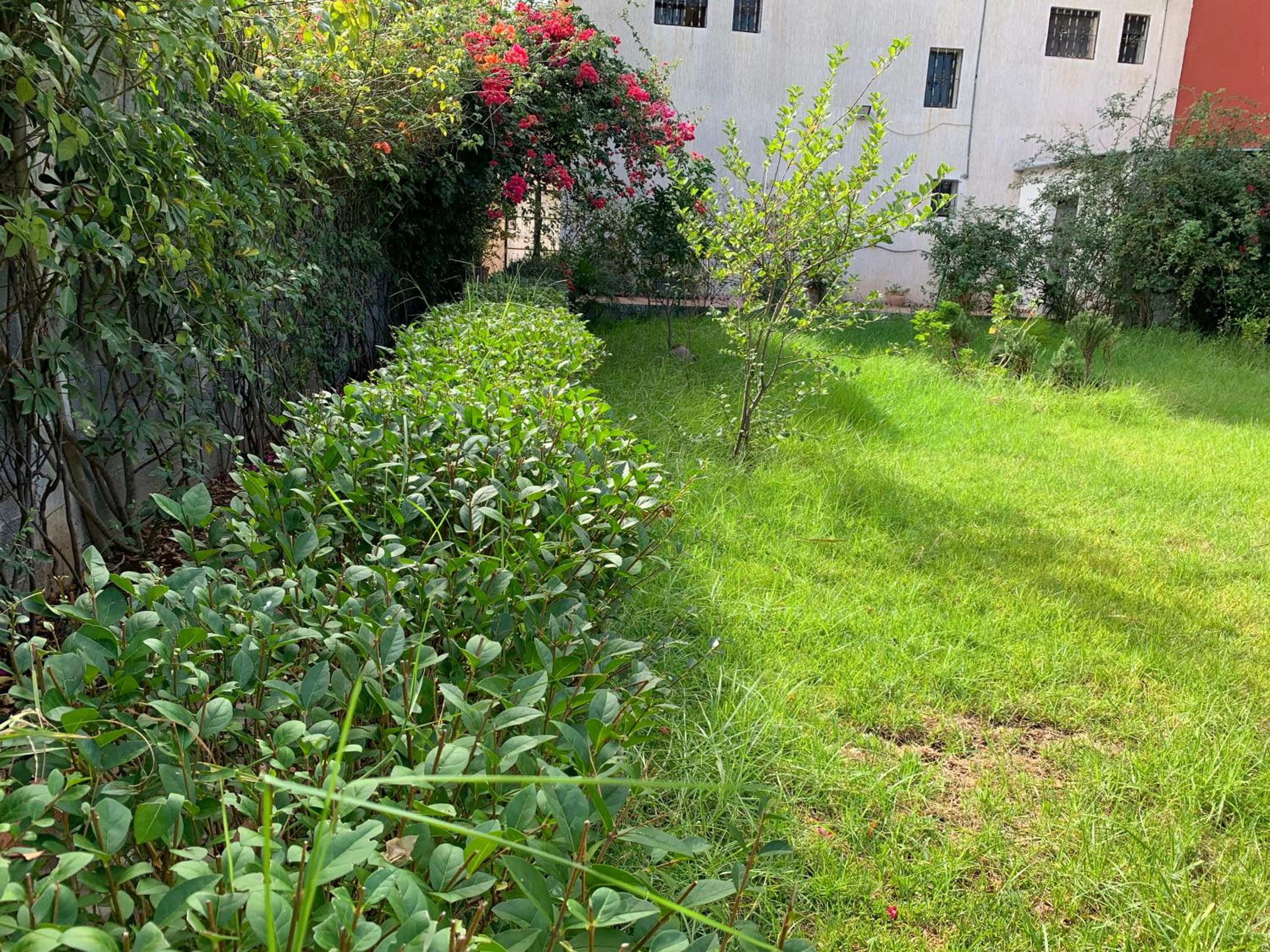 Photo 30