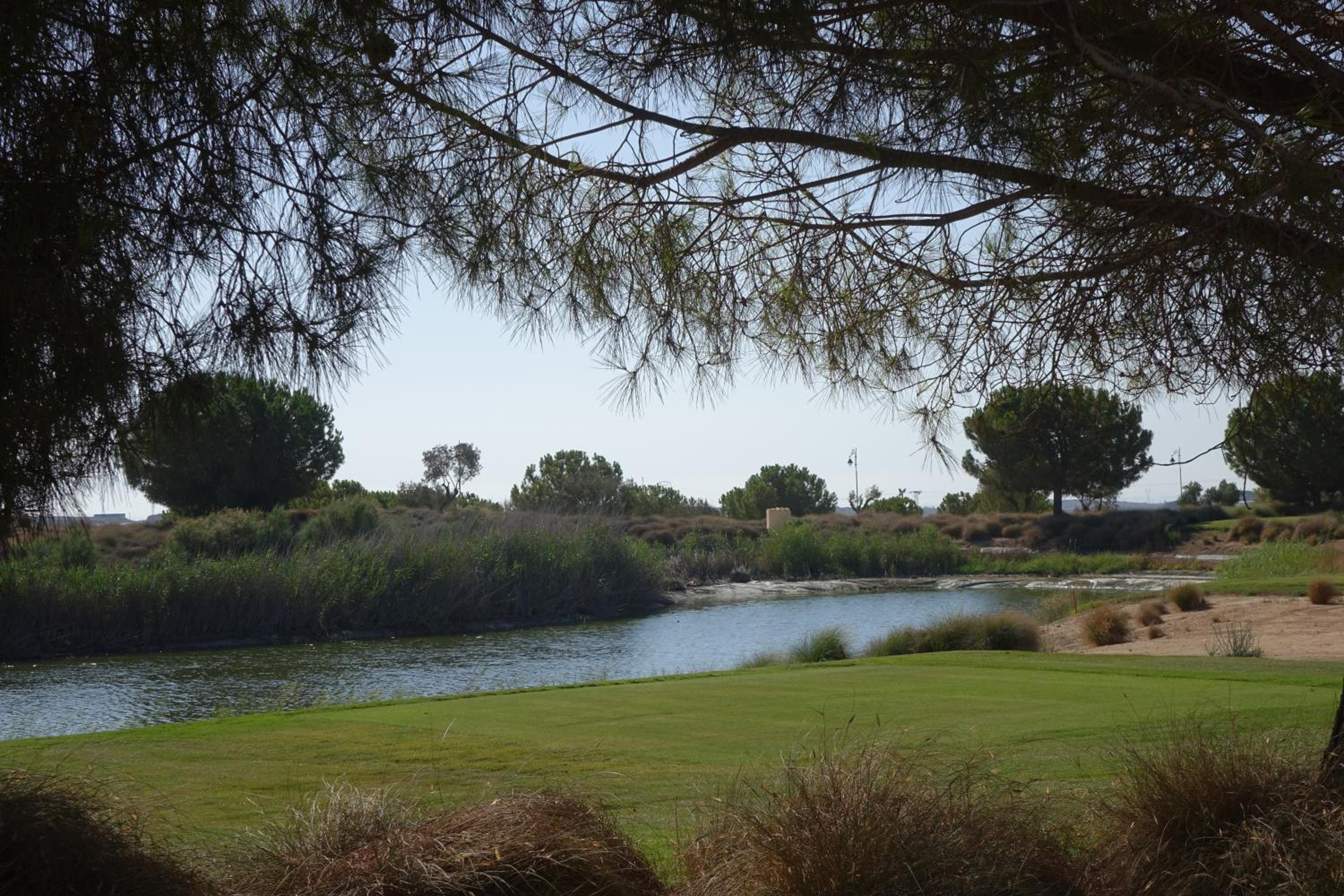 The Heart of Hacienda Riquelme