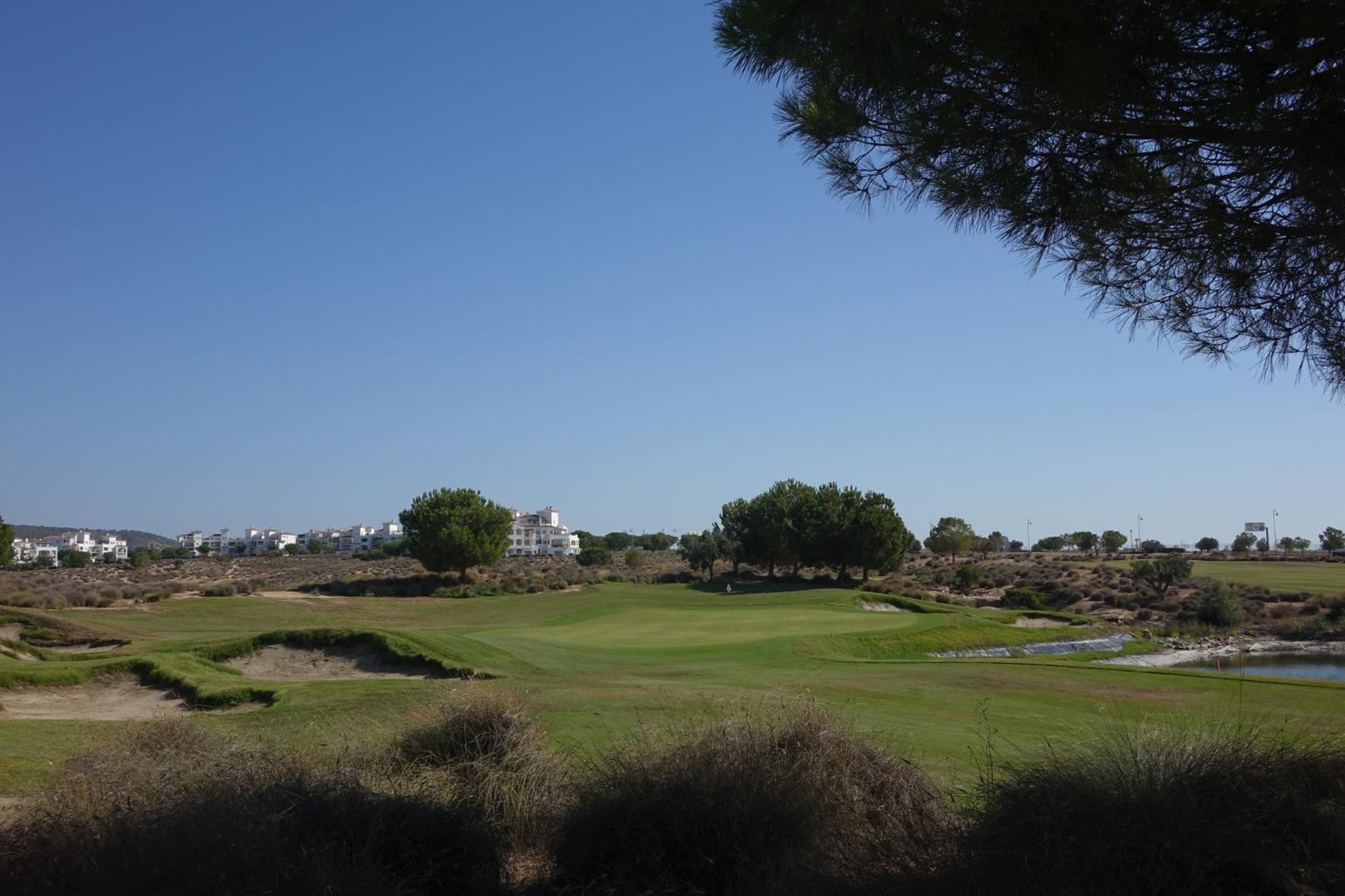 The Heart of Hacienda Riquelme