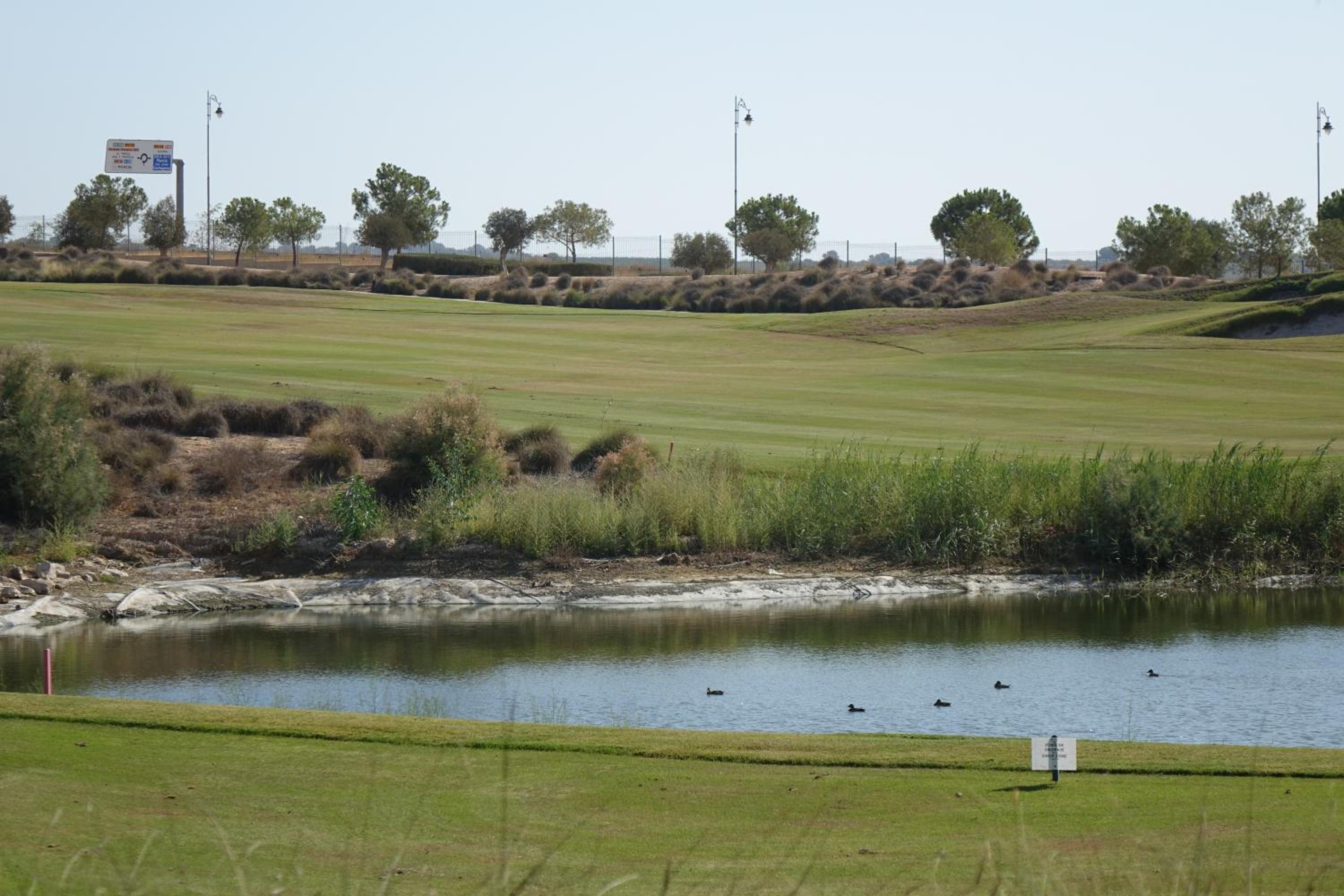 The Heart of Hacienda Riquelme