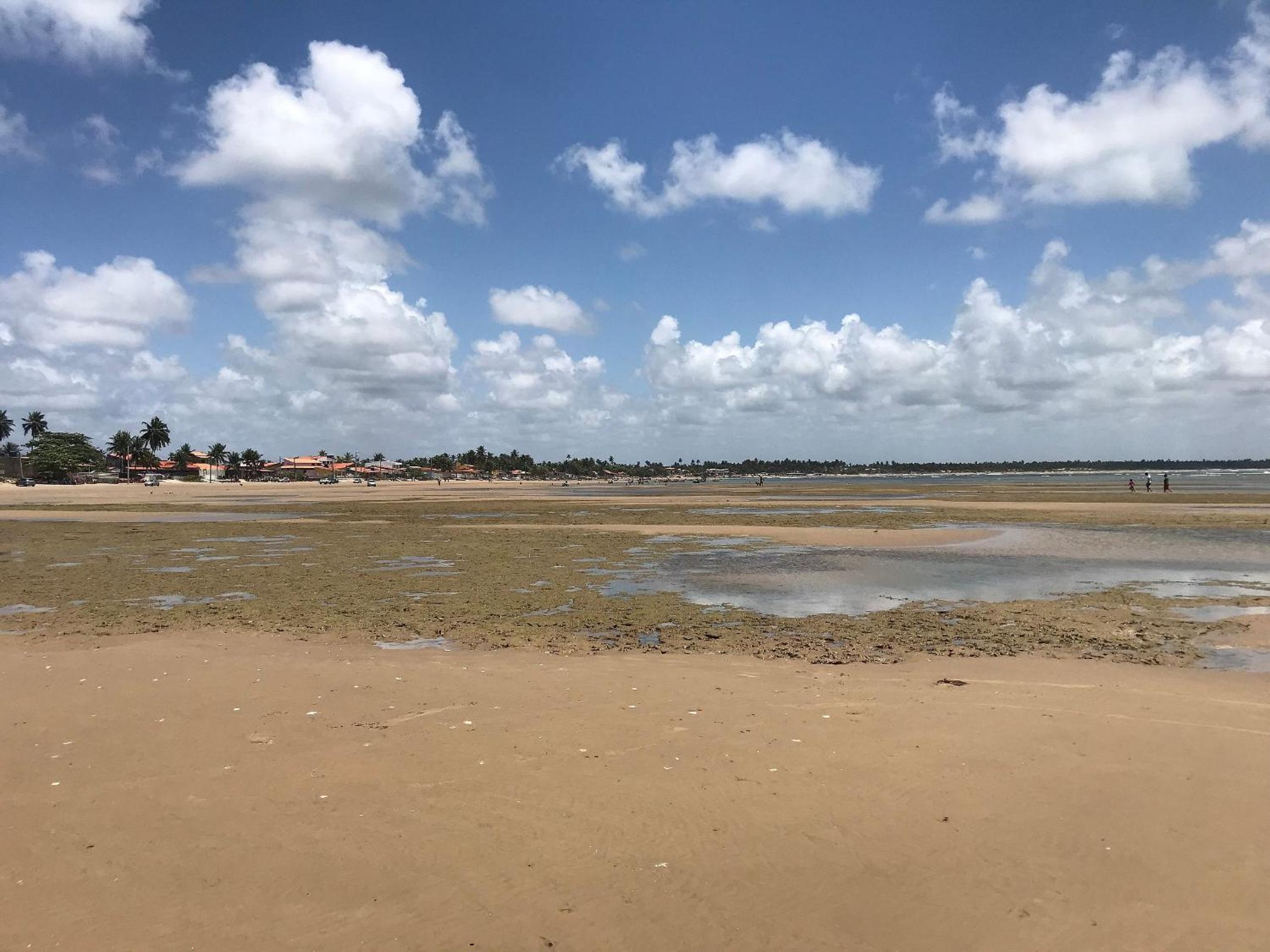 B&B Beach House Pousada Exclusiva pés na água Pontal do Peba única em Alagoas