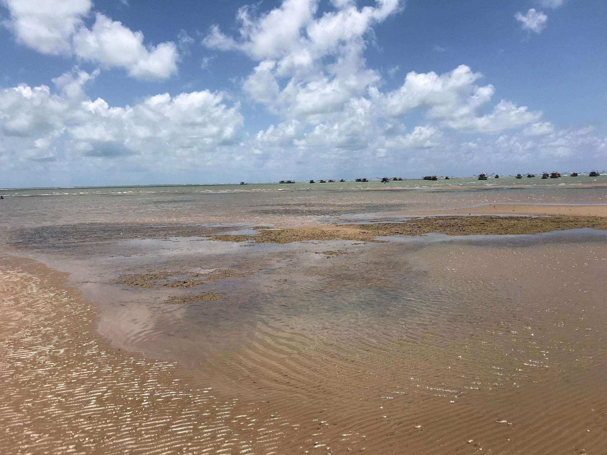 B&B Beach House Pousada Exclusiva pés na água Pontal do Peba única em Alagoas