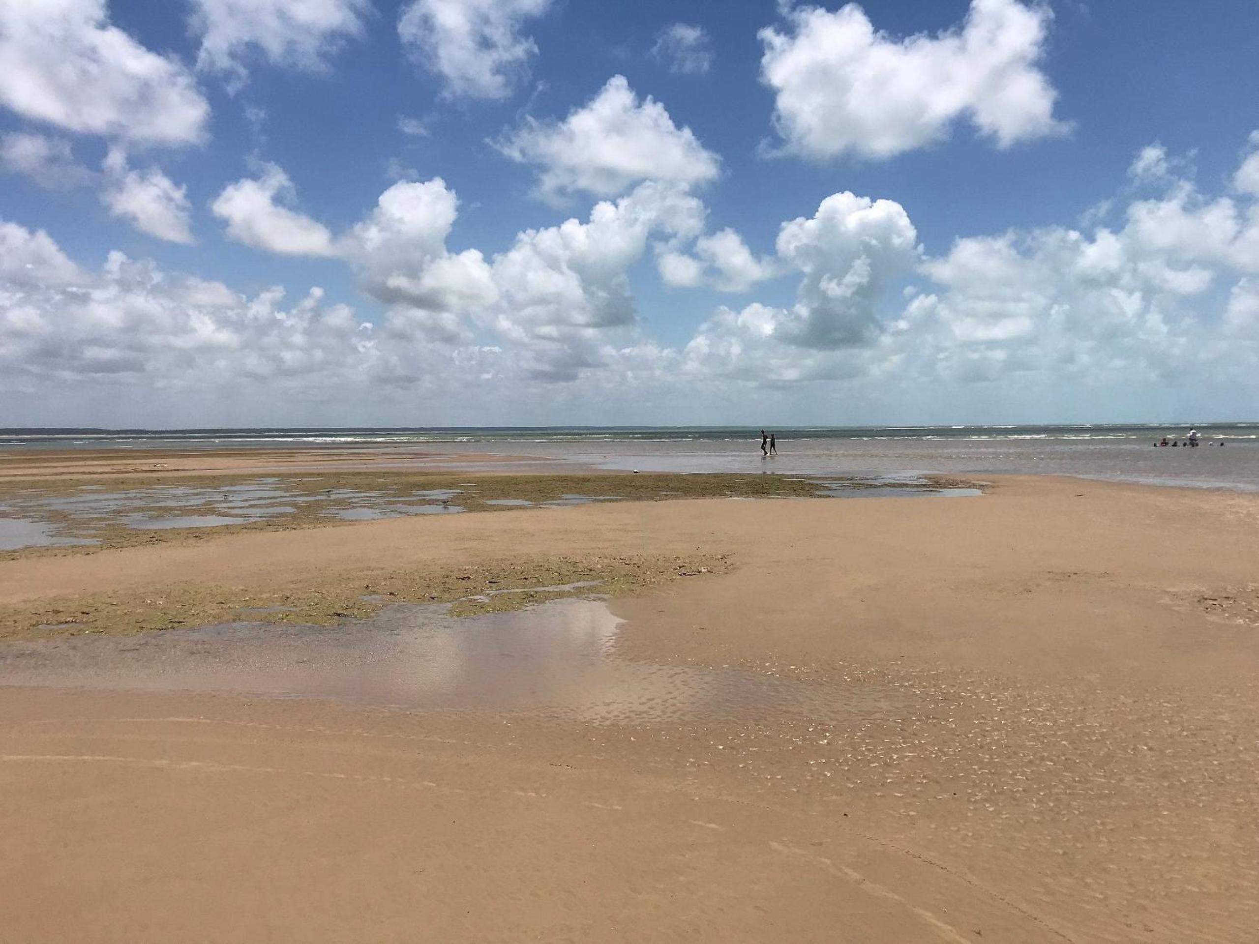 B&B Beach House Pousada Exclusiva pés na água Pontal do Peba única em Alagoas