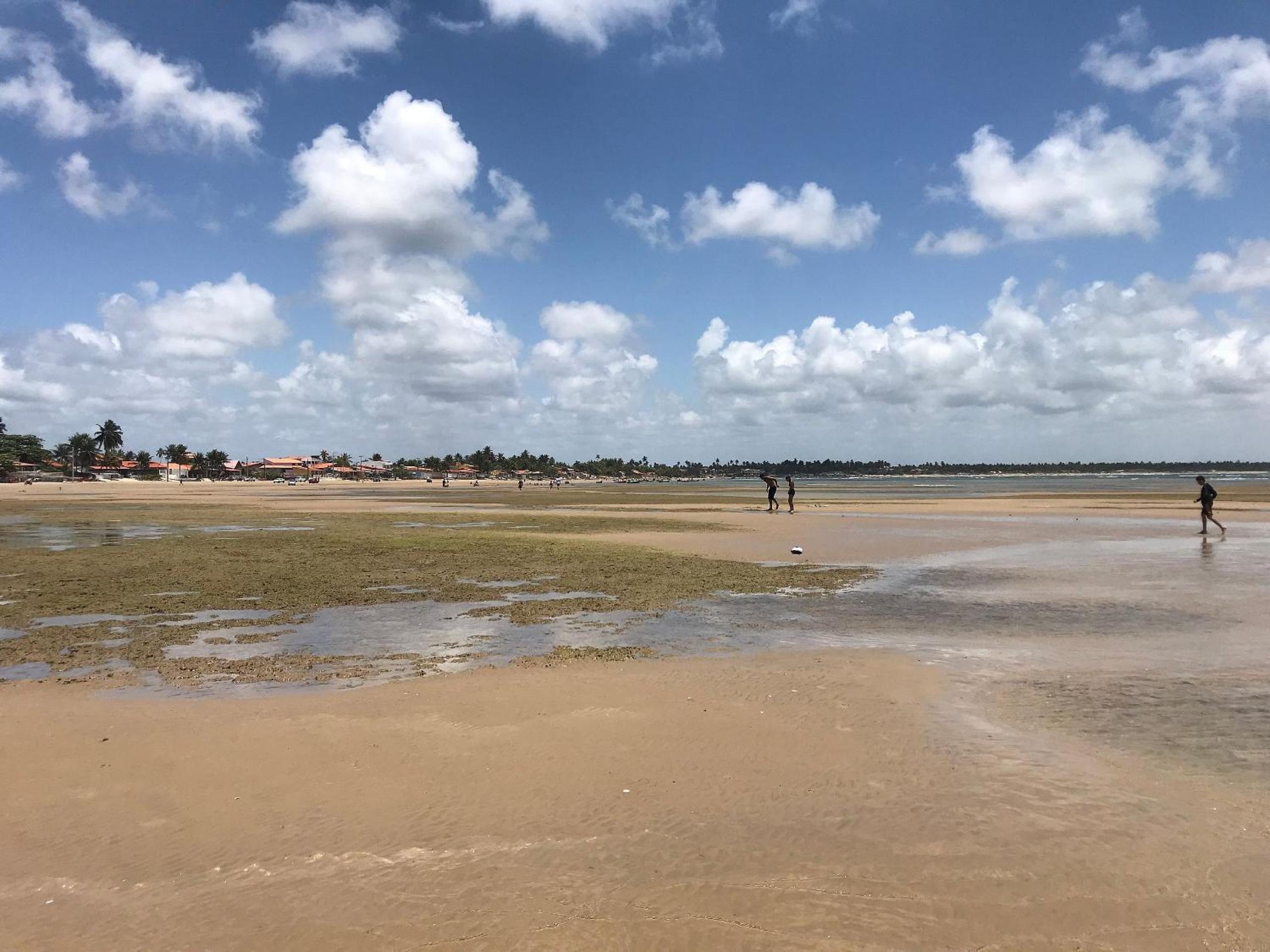 B&B Beach House Pousada Exclusiva pés na água Pontal do Peba única em Alagoas