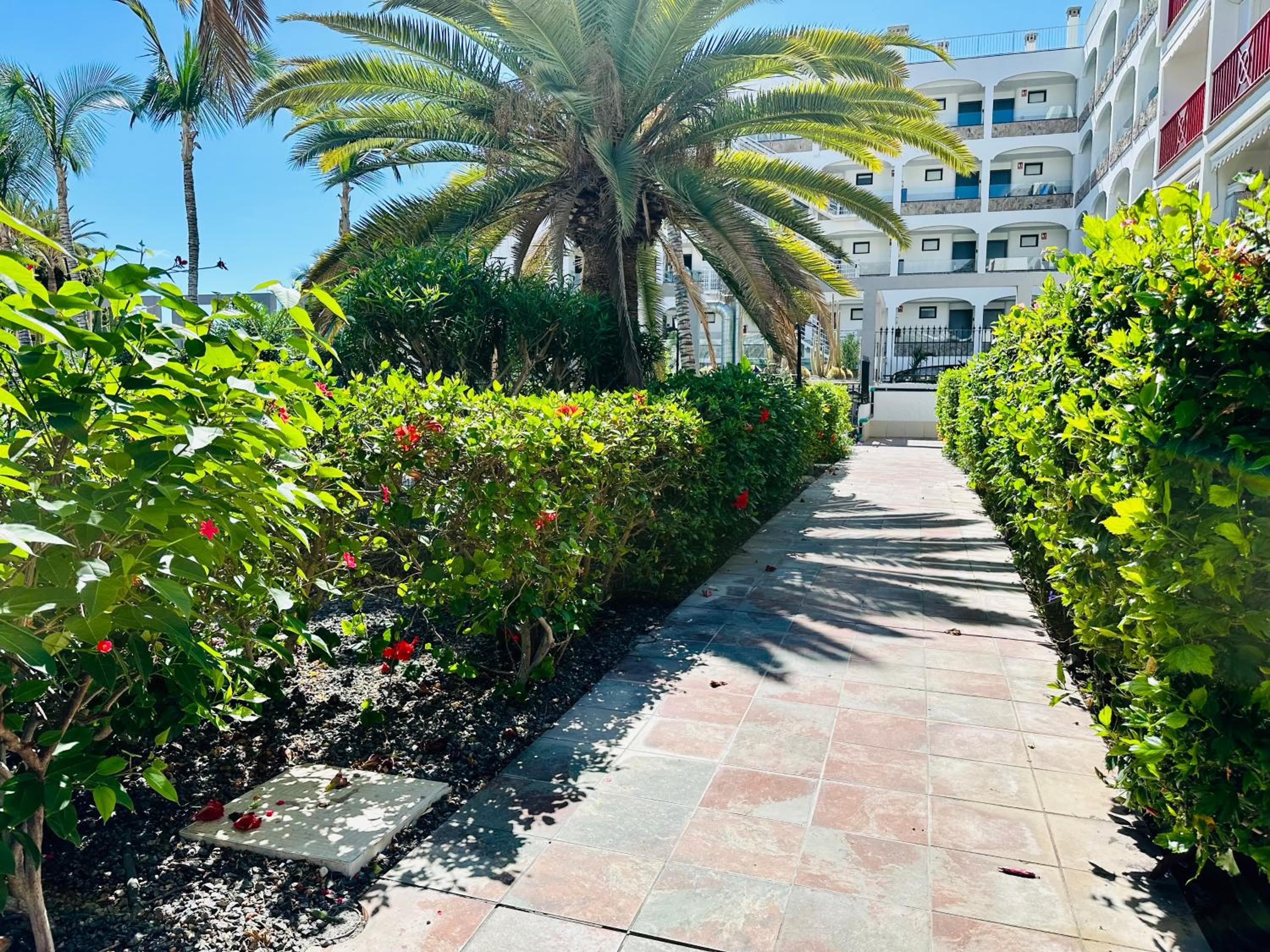 PLAYA DEL CURA - Spacious Beachside Apartment