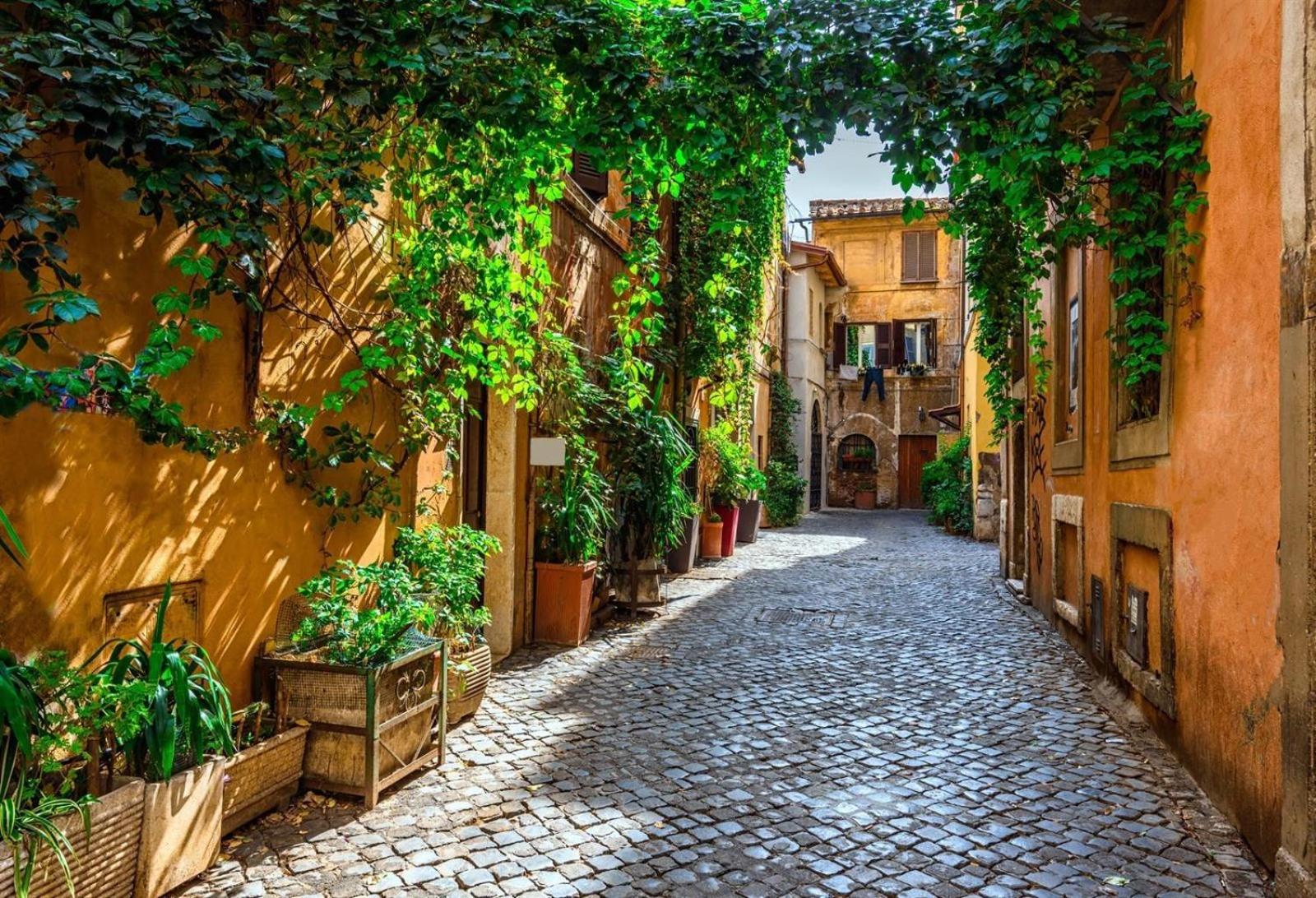 RIPOLI APARTMENT