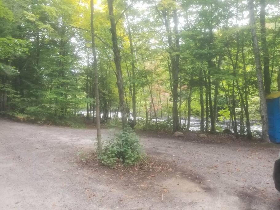 Deer Den cottage in Huntsville