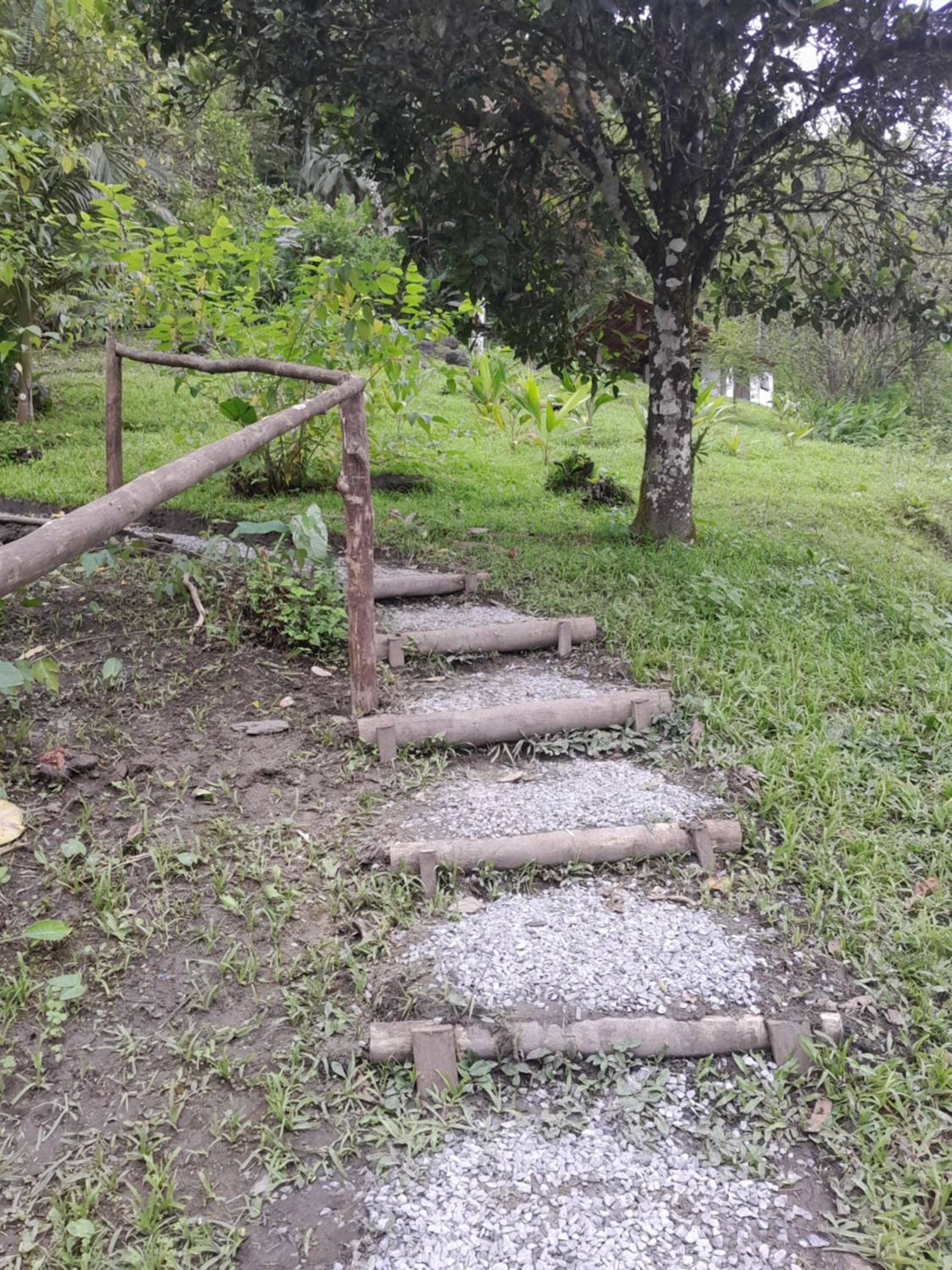 Chalé Floresta Toca da Serra view 5