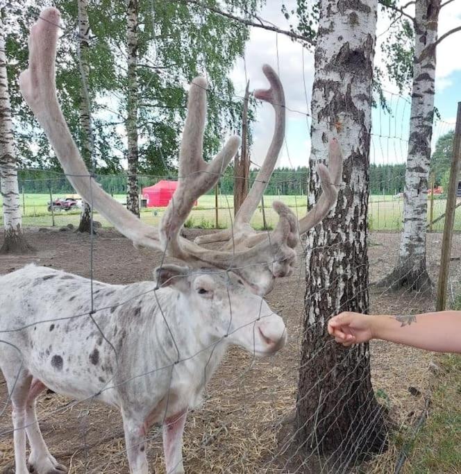 Mökki in Kalkkinen